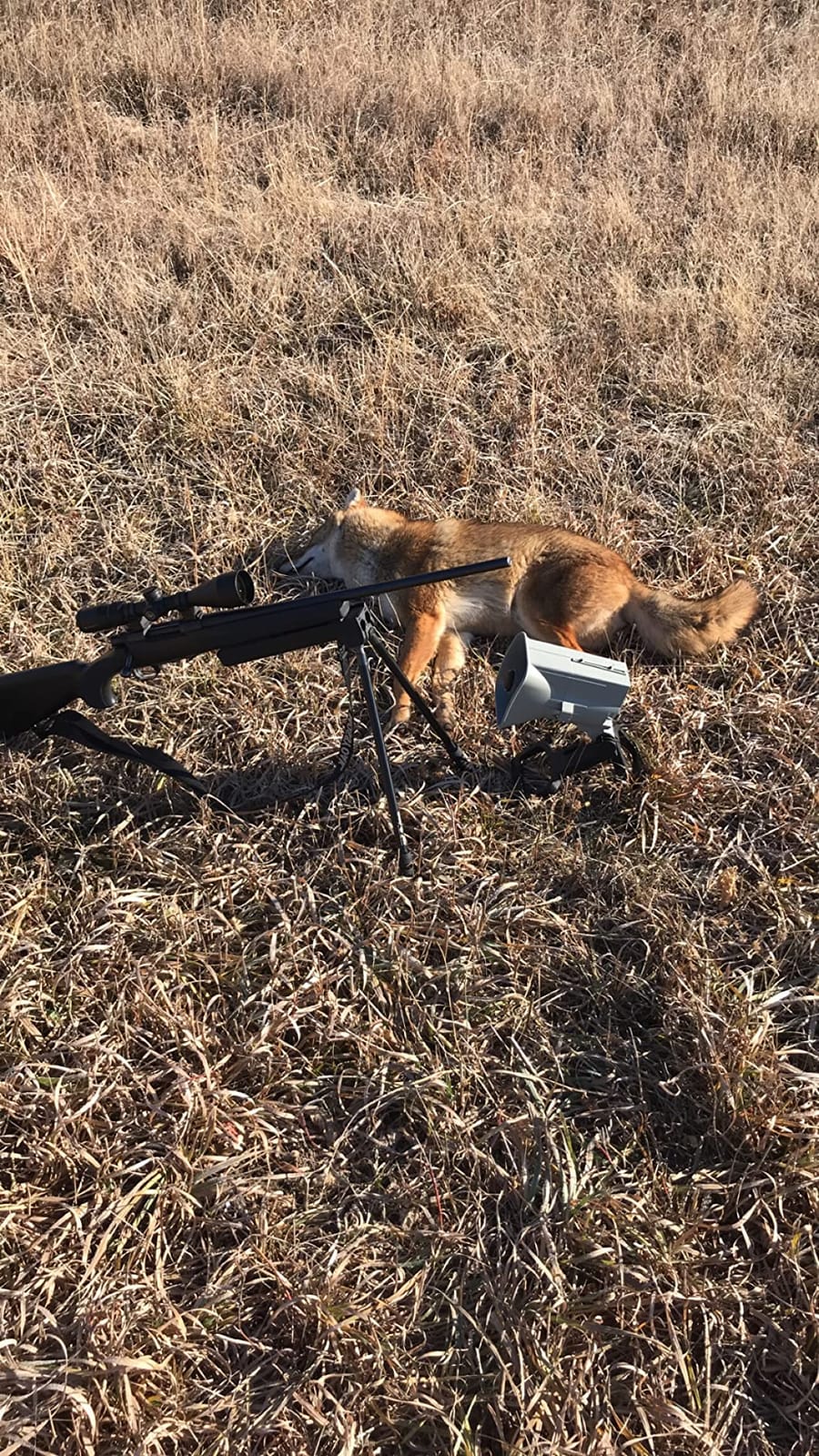 FOXPRO X24 American Made Electronic Predator Call - Remote Operated and Programmable Coyote, Fox, Crow, Hog Call for Hunting customer photo 1