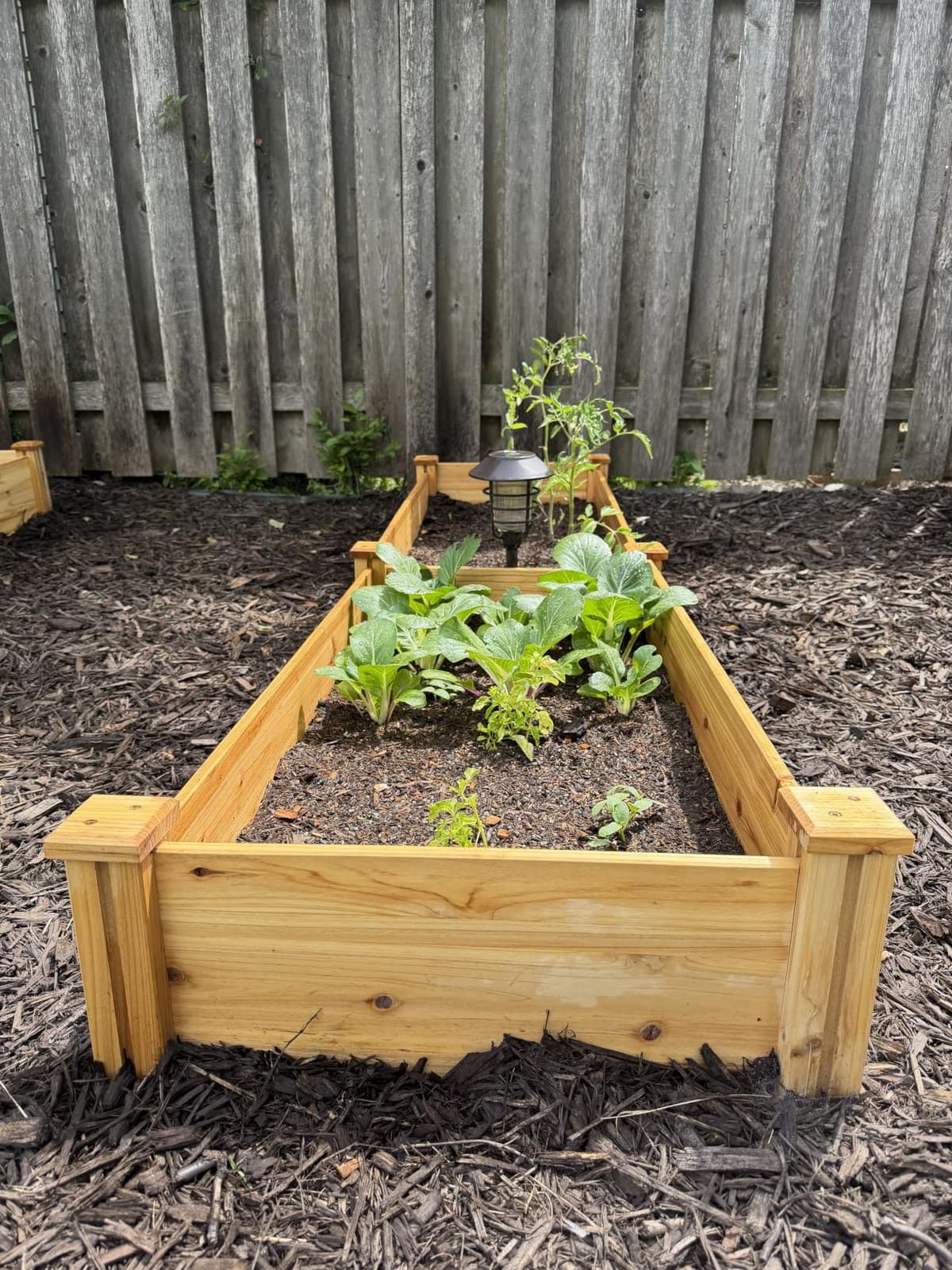Yaheetech Raised Garden Bed Wooden Planter Box for Vegetables/Flowers, Wood customer photo 1