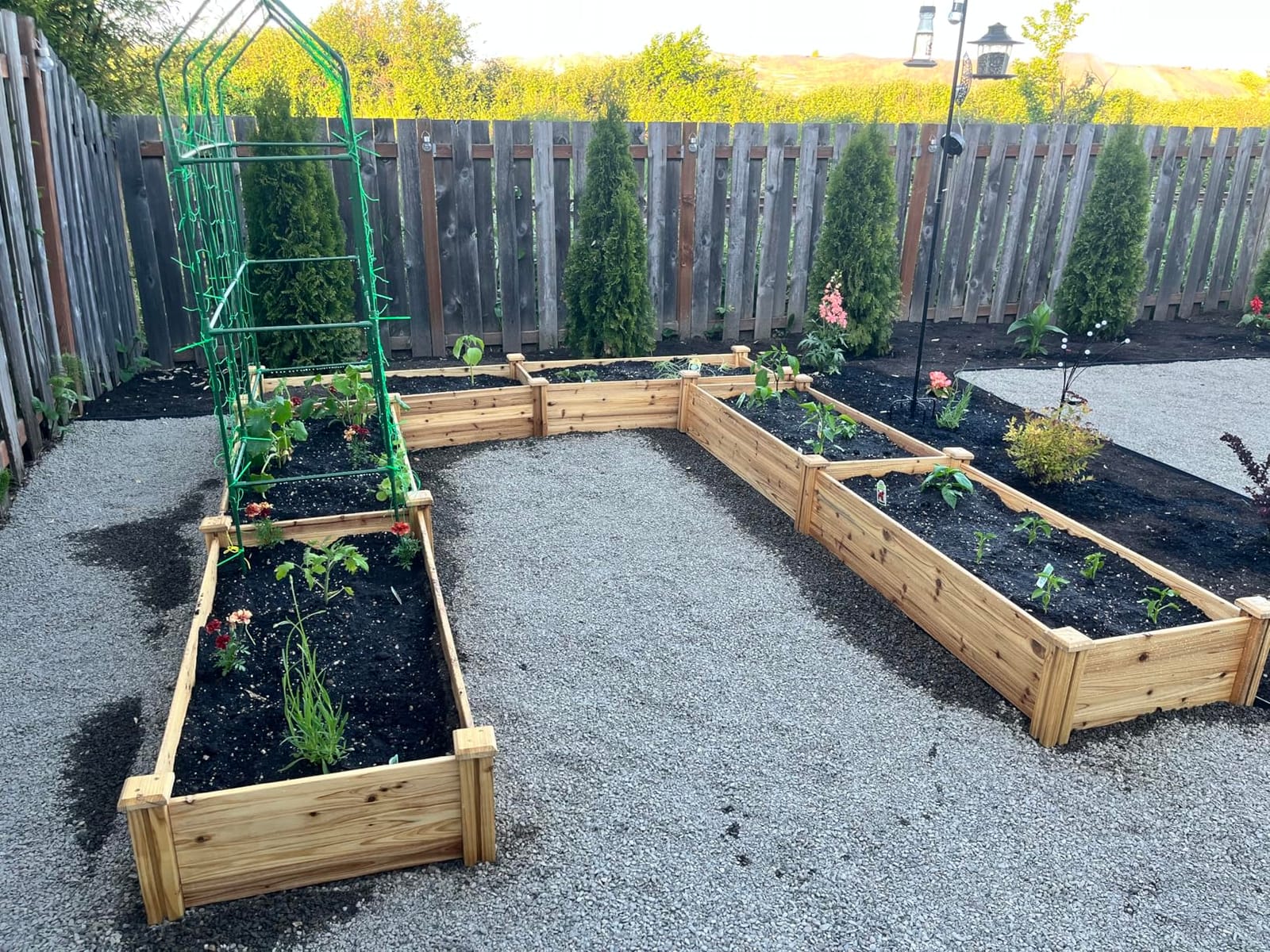 Yaheetech Raised Garden Bed Wooden Planter Box for Vegetables/Flowers, Wood customer photo 2
