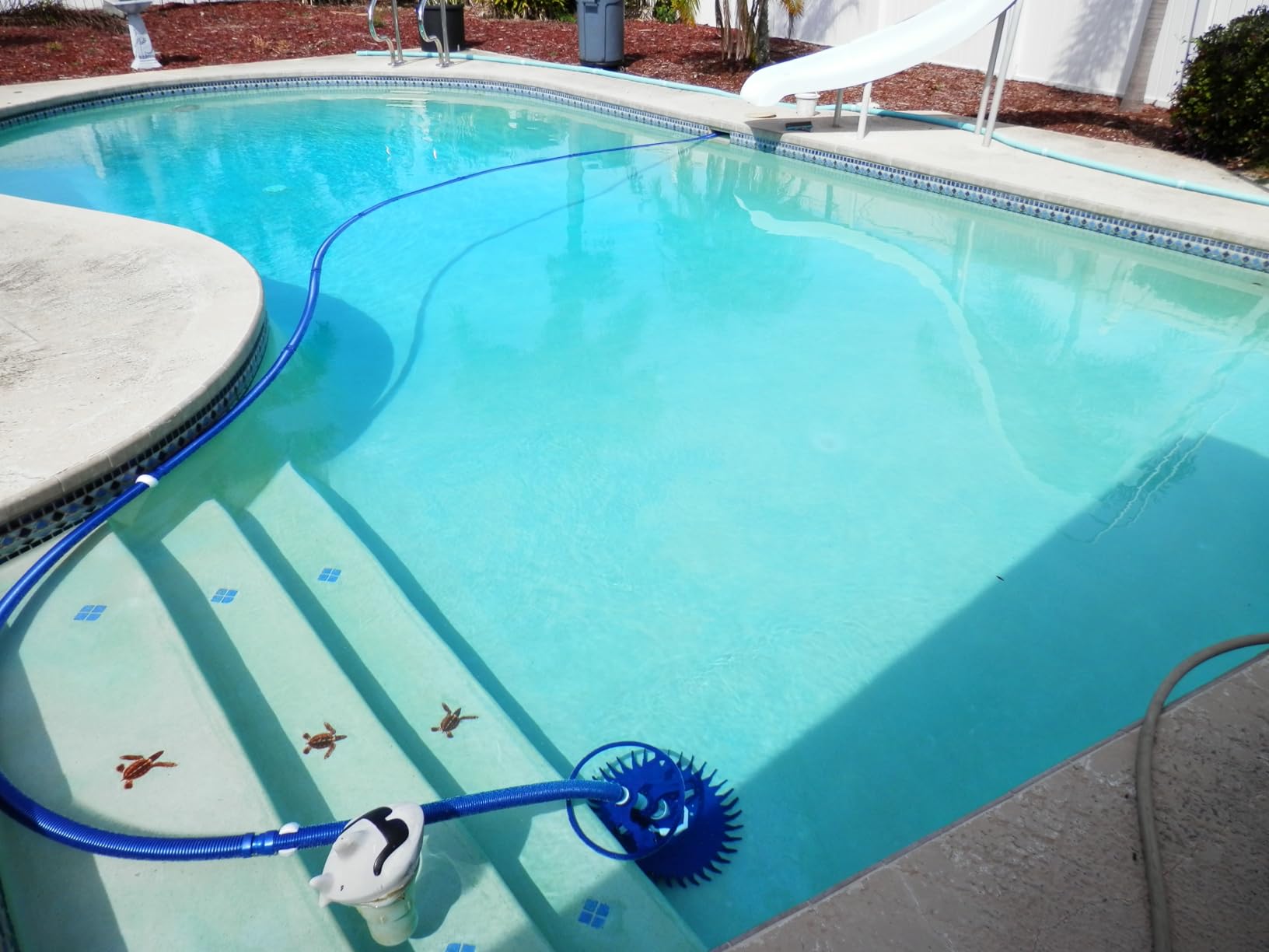 VINGLI Pool Cleaner, Automatic Wall-Climbing Pool Vacuum - Navy Blue & White | Pool Creepy Crawler Vacuum with 33FT Hoses, Suction Pool Cleaner for inground pools, Requires ≥3/4HP pump customer photo 1