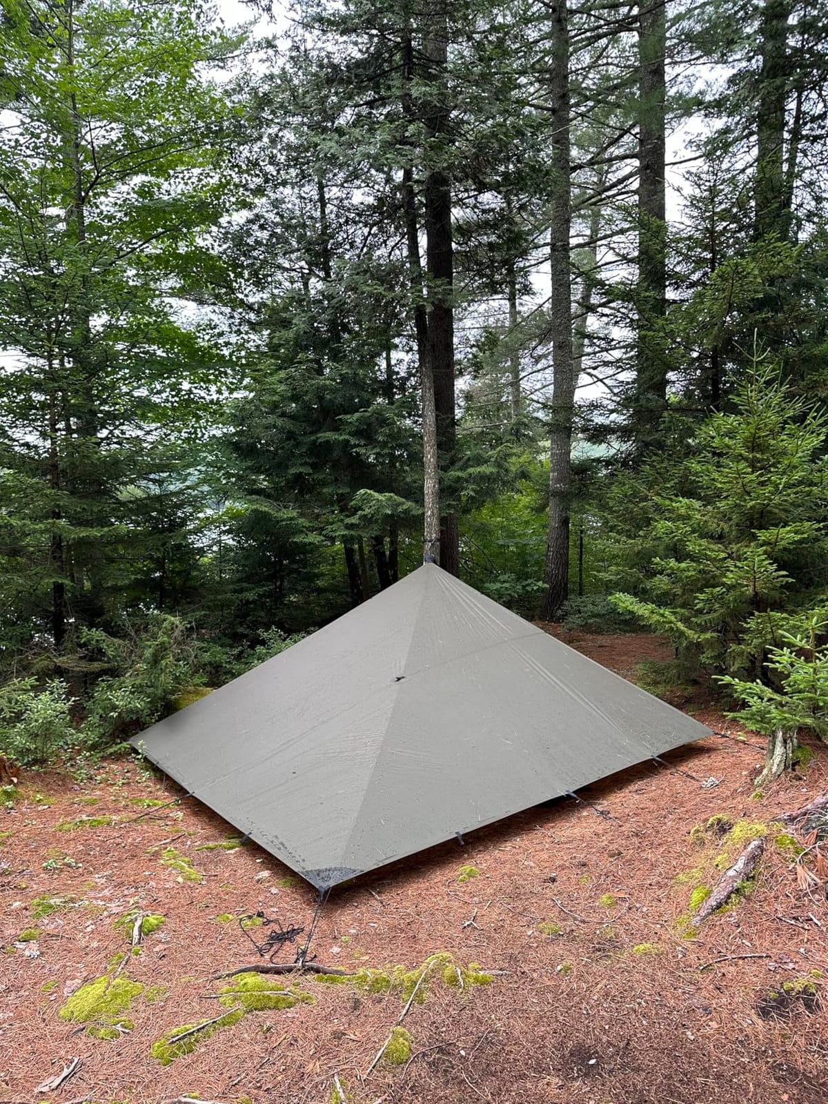 AquaQuest Guide Tarp - Ultralight Waterproof (5,000 mm) Seam-Taped 40D Ripstop Rain Fly for Backpacking, Stealth Camping & Thru-Hiking customer photo 1