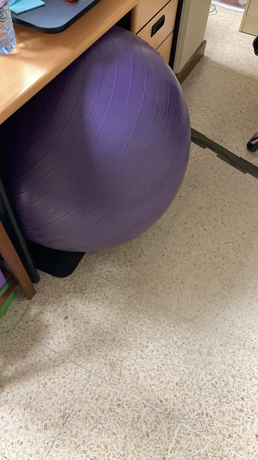 Gaiam Essentials Balance Ball & Base Kit, Yoga Ball Chair, Exercise Ball with Inflatable Ring Base for Home or Office Desk, Includes Air Pump customer photo 2