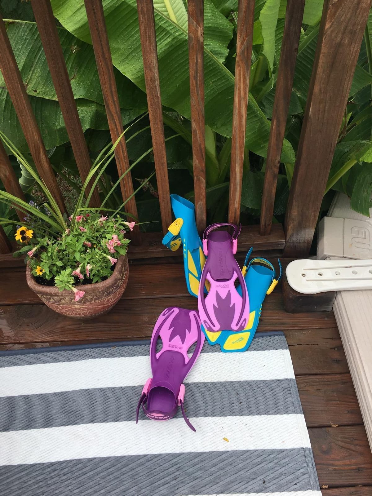 Cressi Rocks Fins, Kids Open Heel Short Fins with Adjustable Straps for Snorkeling and Swimming - Cressi: Quality Since 1946 customer photo 1