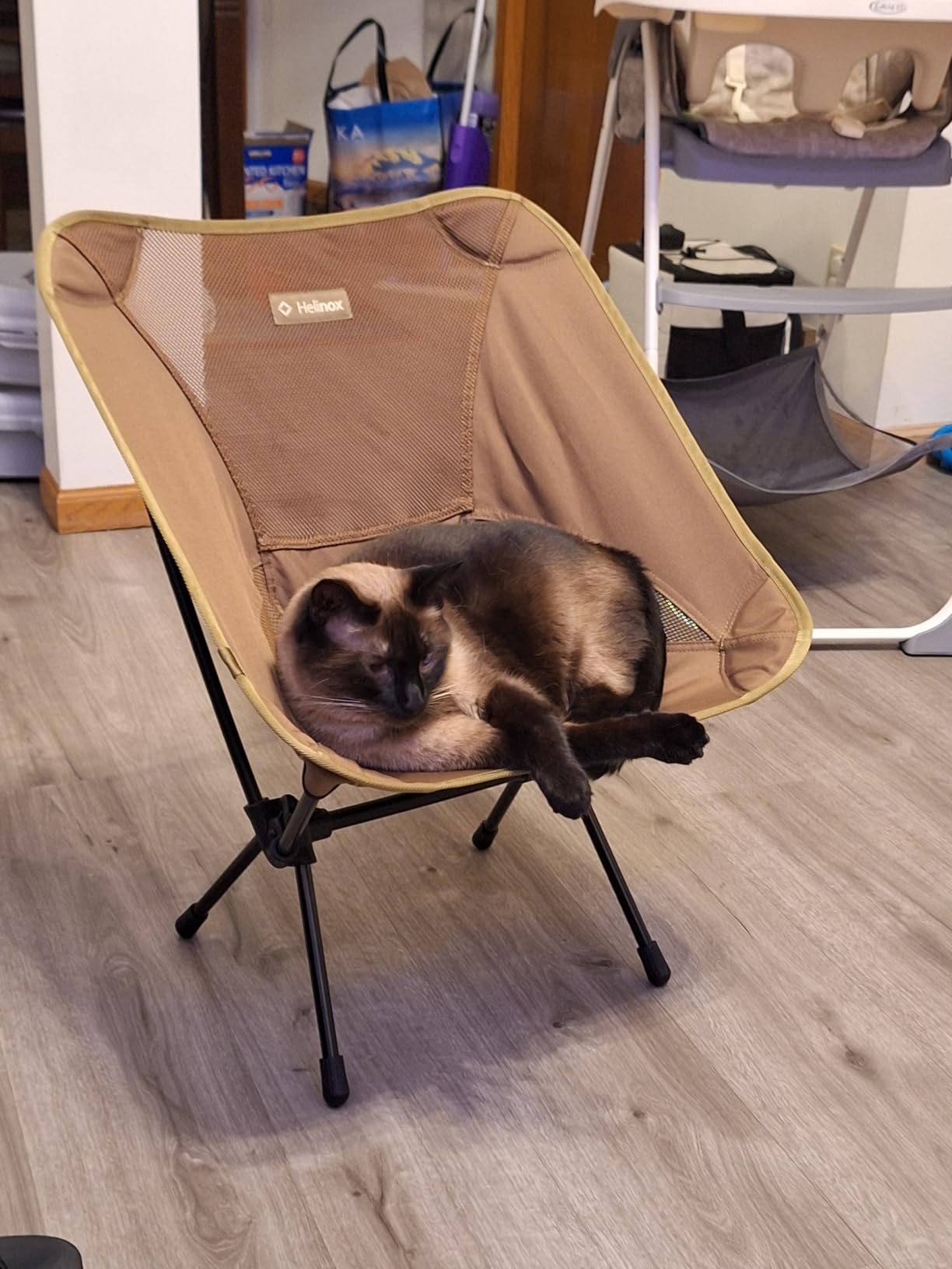 Helinox Chair One Lightweight, Portable, Collapsible Camping Chair customer photo 2