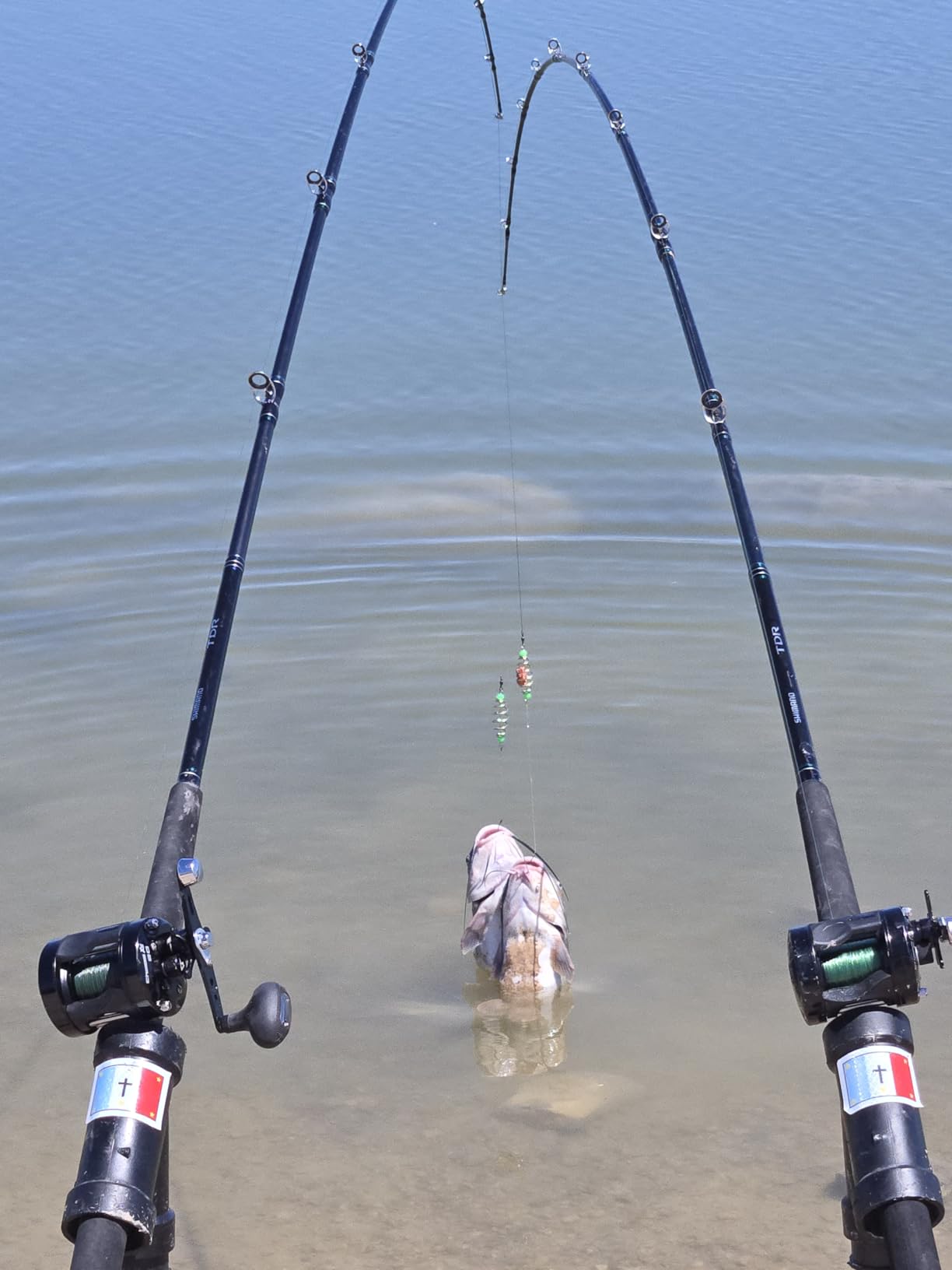 Piscifun Chaos XS Round Baitcasting Reel, Saltwater Conventional Reel | Aluminum body, 5.3:1 ratio, 6+1 bearings, 18-22LB drag, 40/50/60 sizes customer photo 2