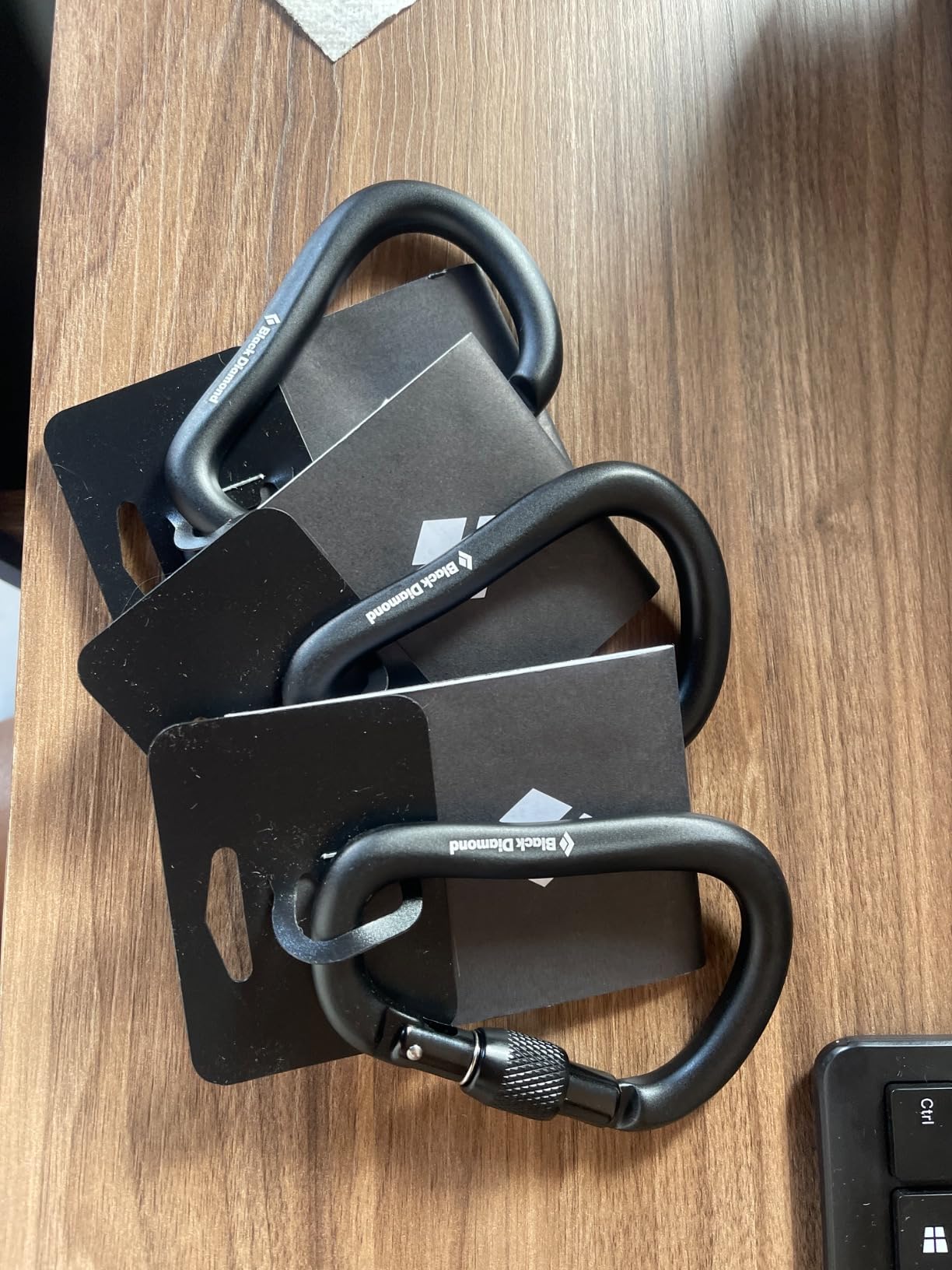 BLACK DIAMOND RockLock Screwgate/Twistlock Carabiner Keylock Nose Locking customer photo 1