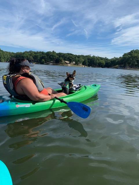 Perception Flash 9.5 | Sit Inside Kayak | Rod Holders and Rear Storage customer photo 1