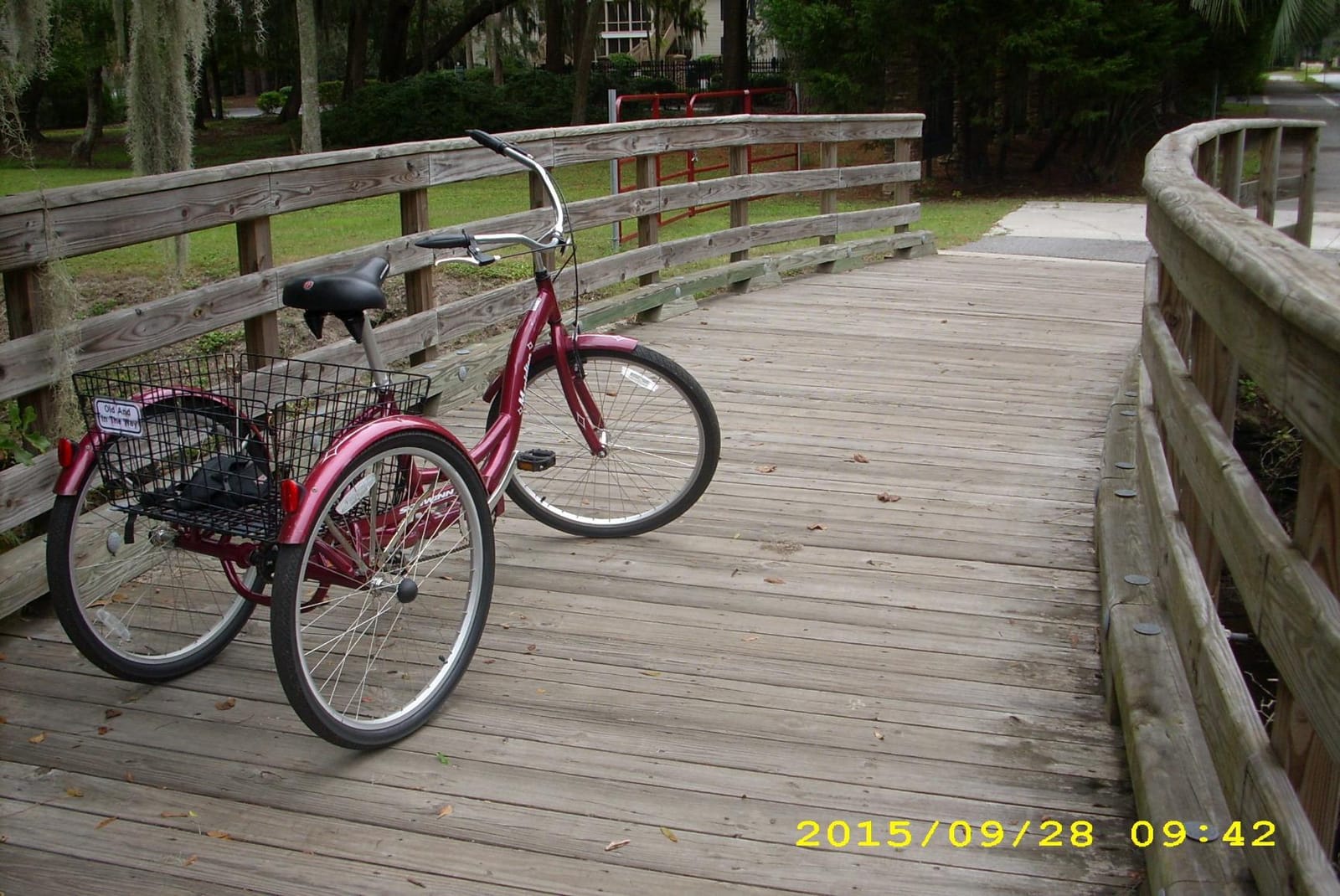 Schwinn Meridian Adult Tricycle, 26-Inch Wheels, Single Speed, Cruiser Bike with Rear Basket, Adjustable Seat customer photo 2