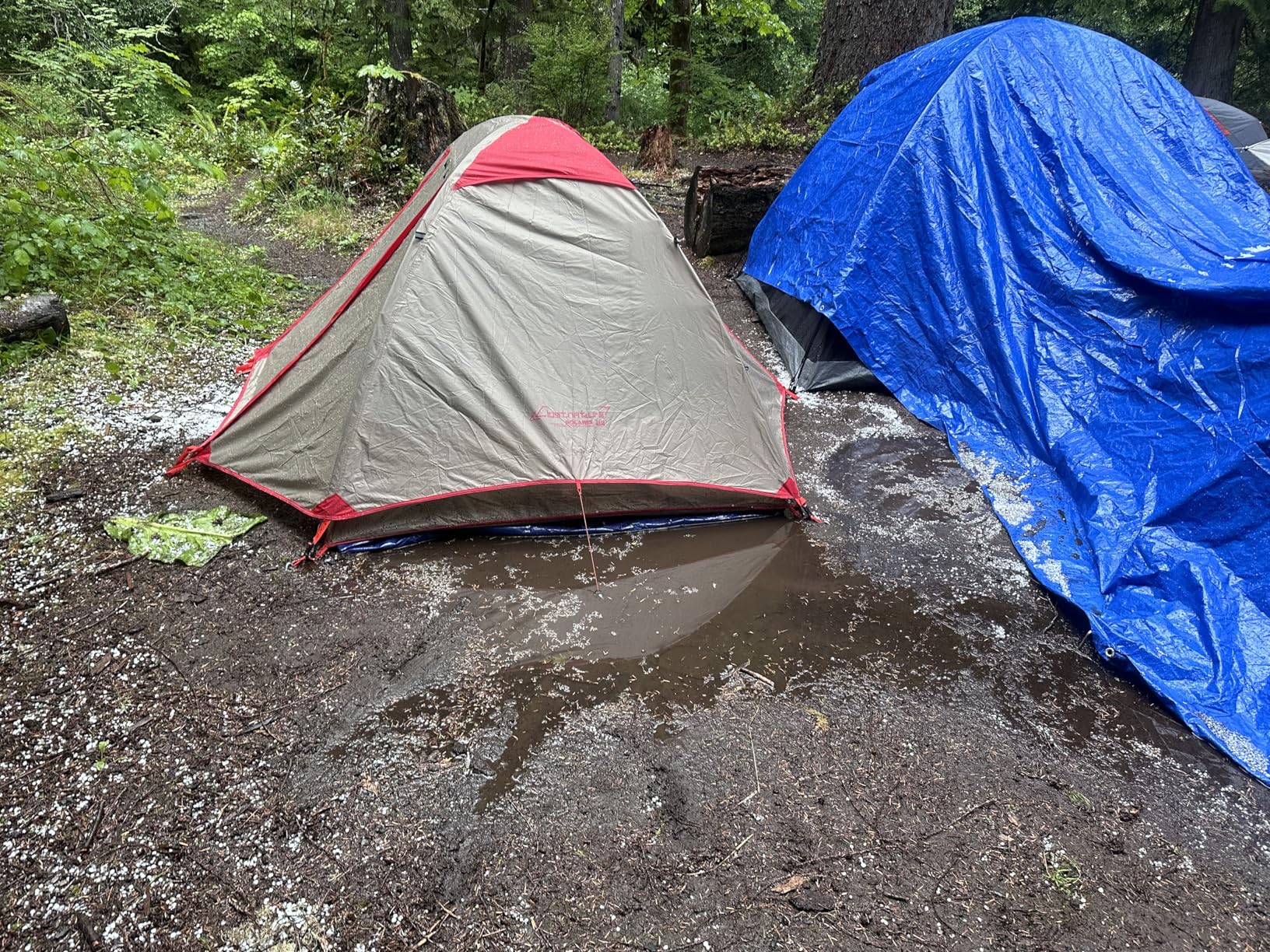Clostnature Lightweight Backpacking Tent, 4 Person Camping Tent | Aluminum Pole, PU 5000, Easy Setup, Ultralight, Waterproof, Freestanding, Two Doors customer photo 1
