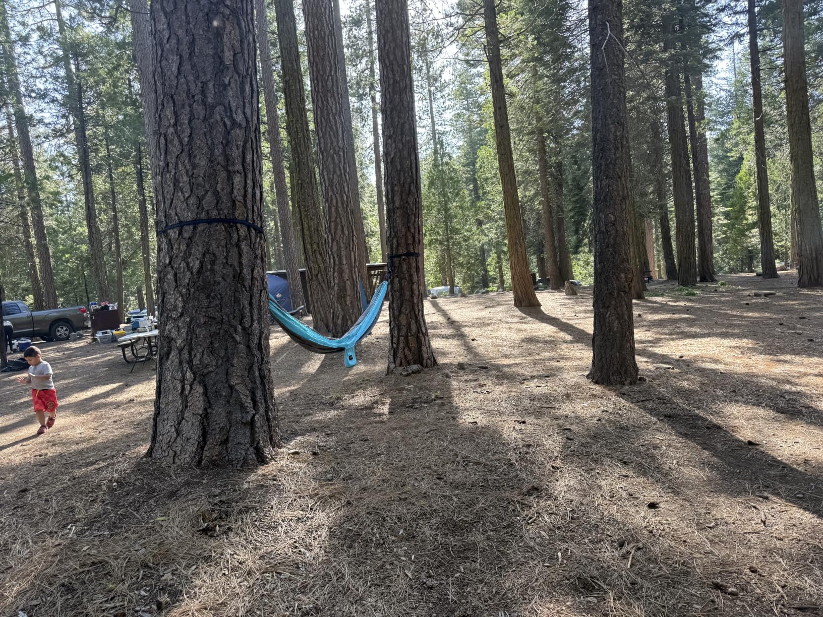 Kootek Camping Hammock 500lbs Capacity Outdoor Camping Essentials, Double, Tree-Friendly Straps, Attached Carry Bag, 210T Parachute Nylon, D-Shaped Carabiners customer photo 1