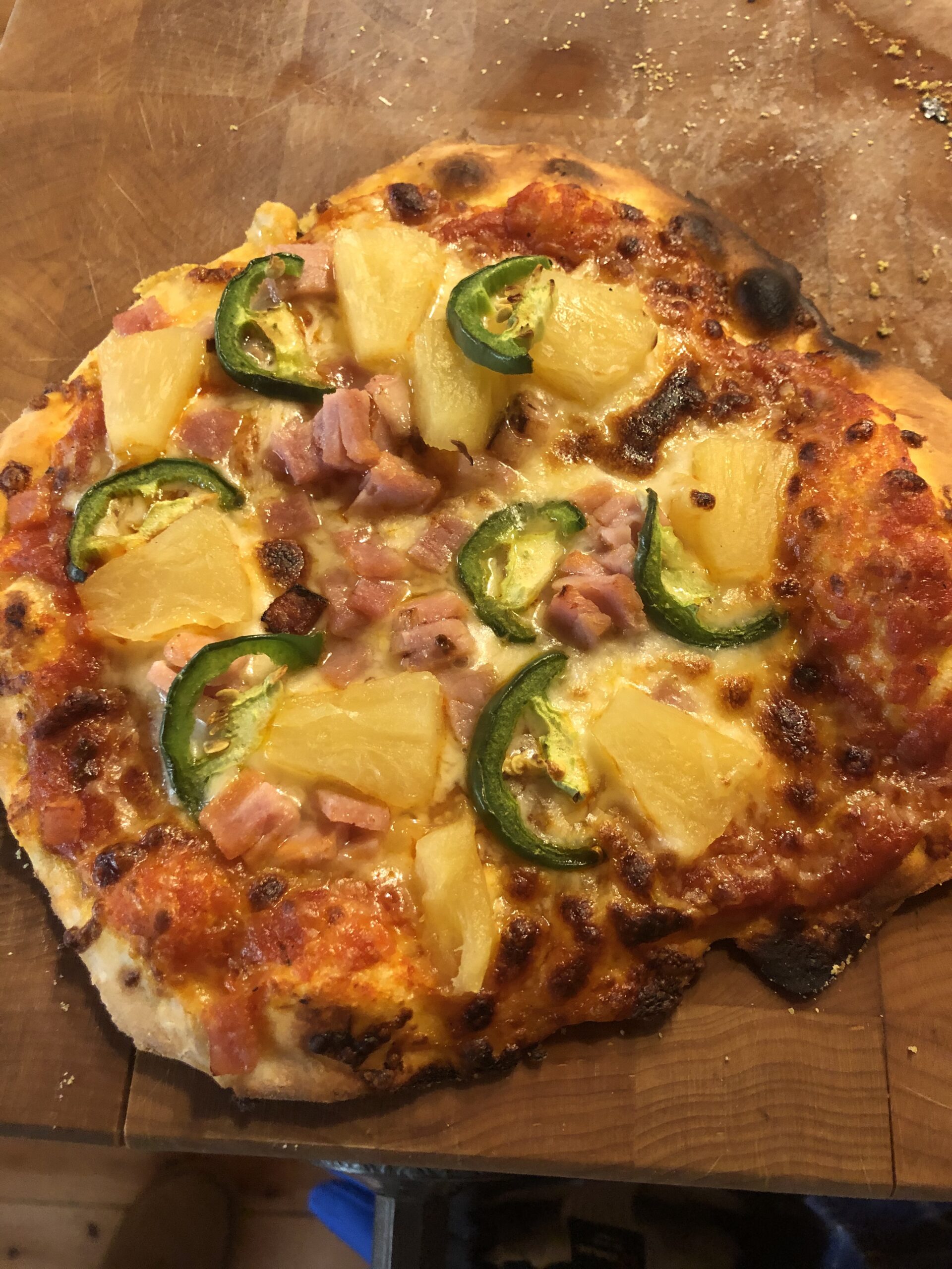 ALFA One Pizza Oven customer photo 1