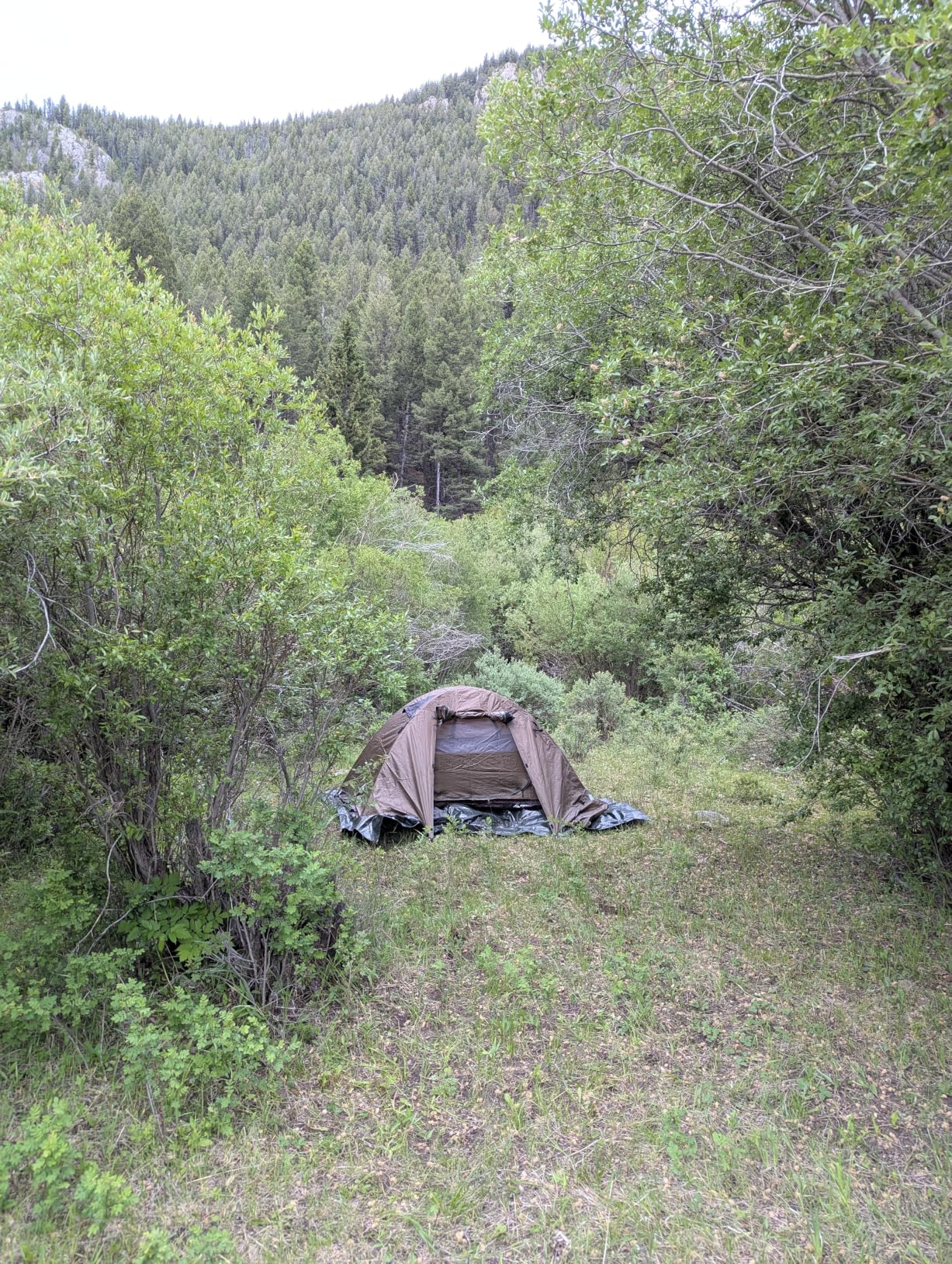 Forceatt Camping Tent 4 Person, Professional Waterproof & Windproof Lightweight Backpacking Tent for Outdoor, Hiking, Camping customer photo 1