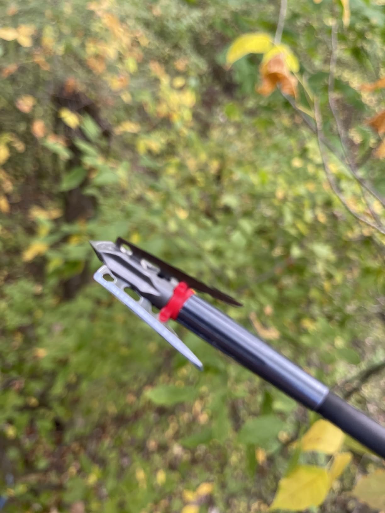G5 Megameat 3-Blade Expandable Broadheads, 3 Pack, Crossbow customer photo 1