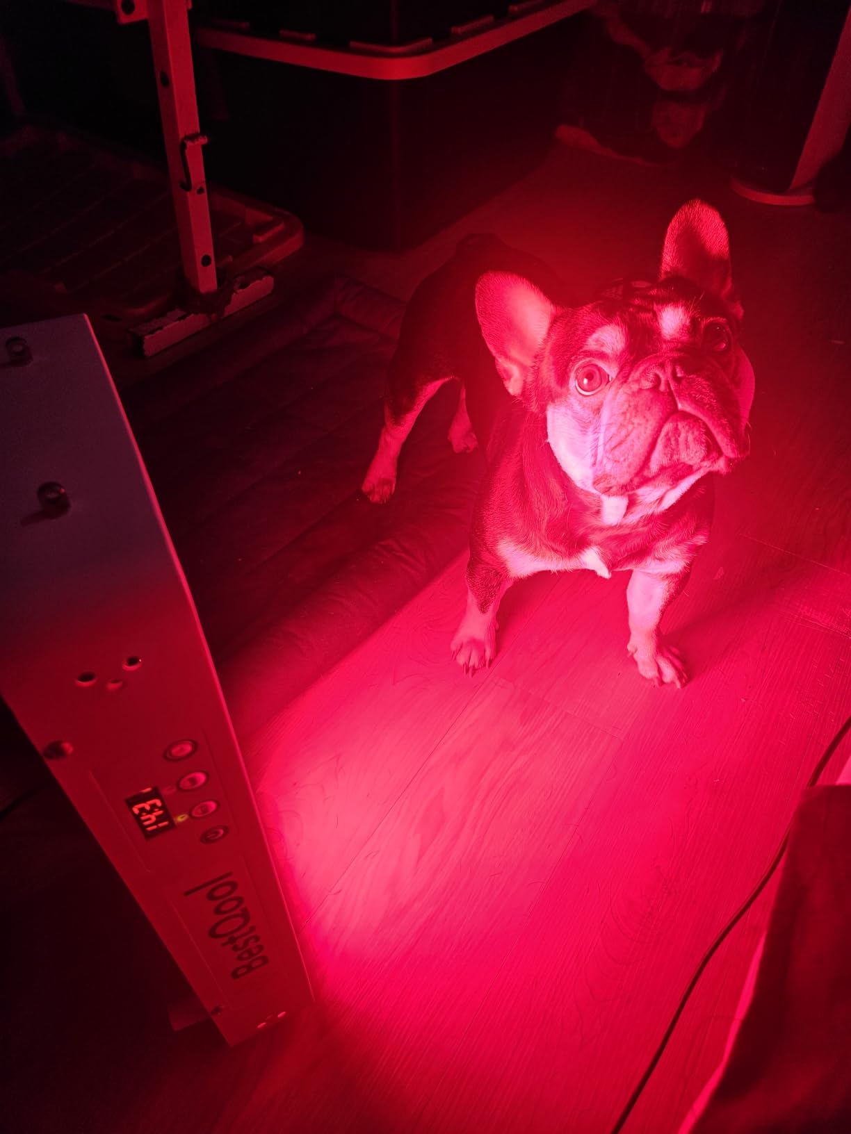 BestQool Red Light Therapy for face Body, 4 Wavelengths Infrared Red Light Therapy Panel, 100 Elite Grade Dual Chip LEDs, High Power Infrared Light Therapy Lamp, Modular Design. 160W customer photo 1