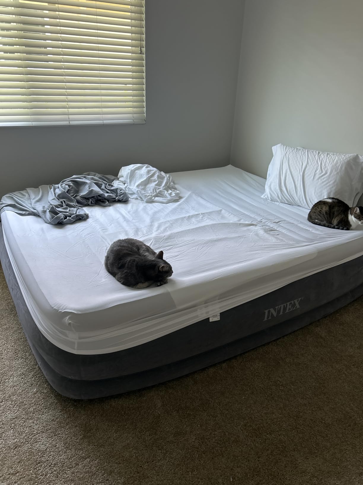 INTEX Dura-Beam Deluxe 18