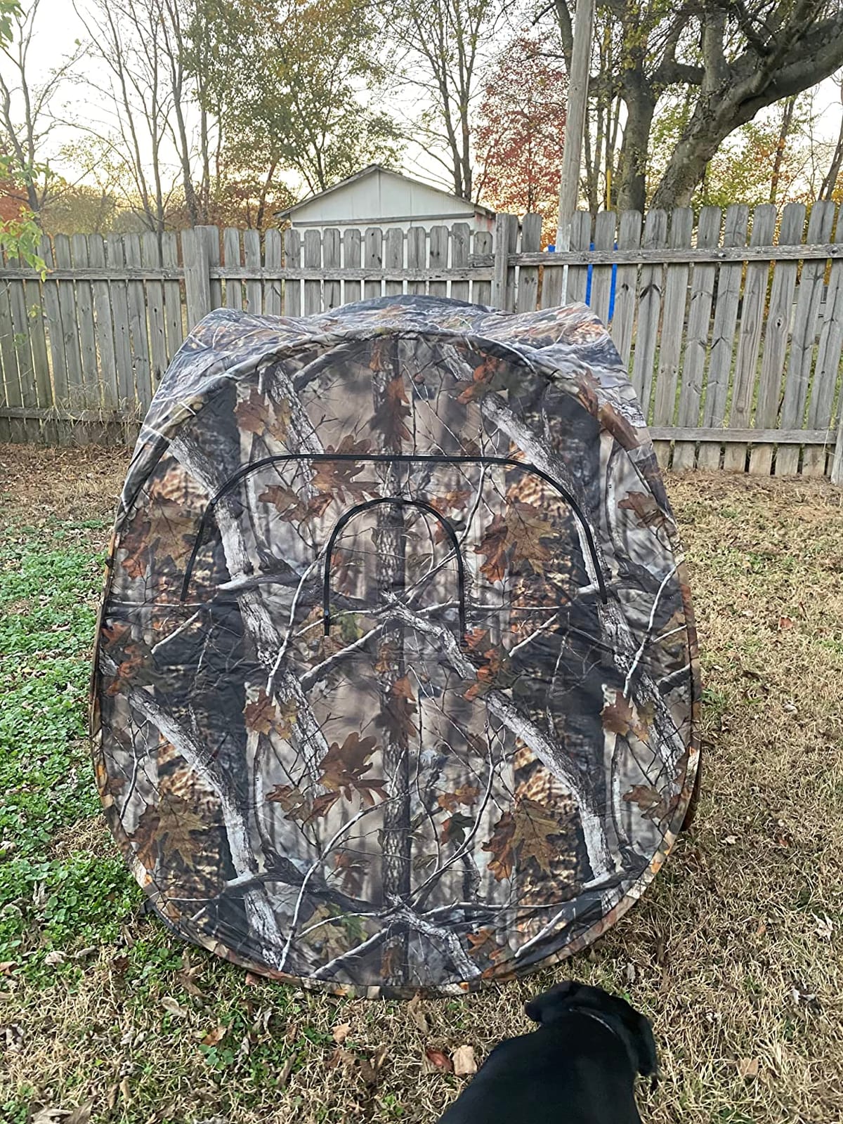 Guide Gear HuntRite Deluxe 4-Panel Spring Steel Hunting Blind; 2 Person Ground Tent for Deer and Turkey Season customer photo 1