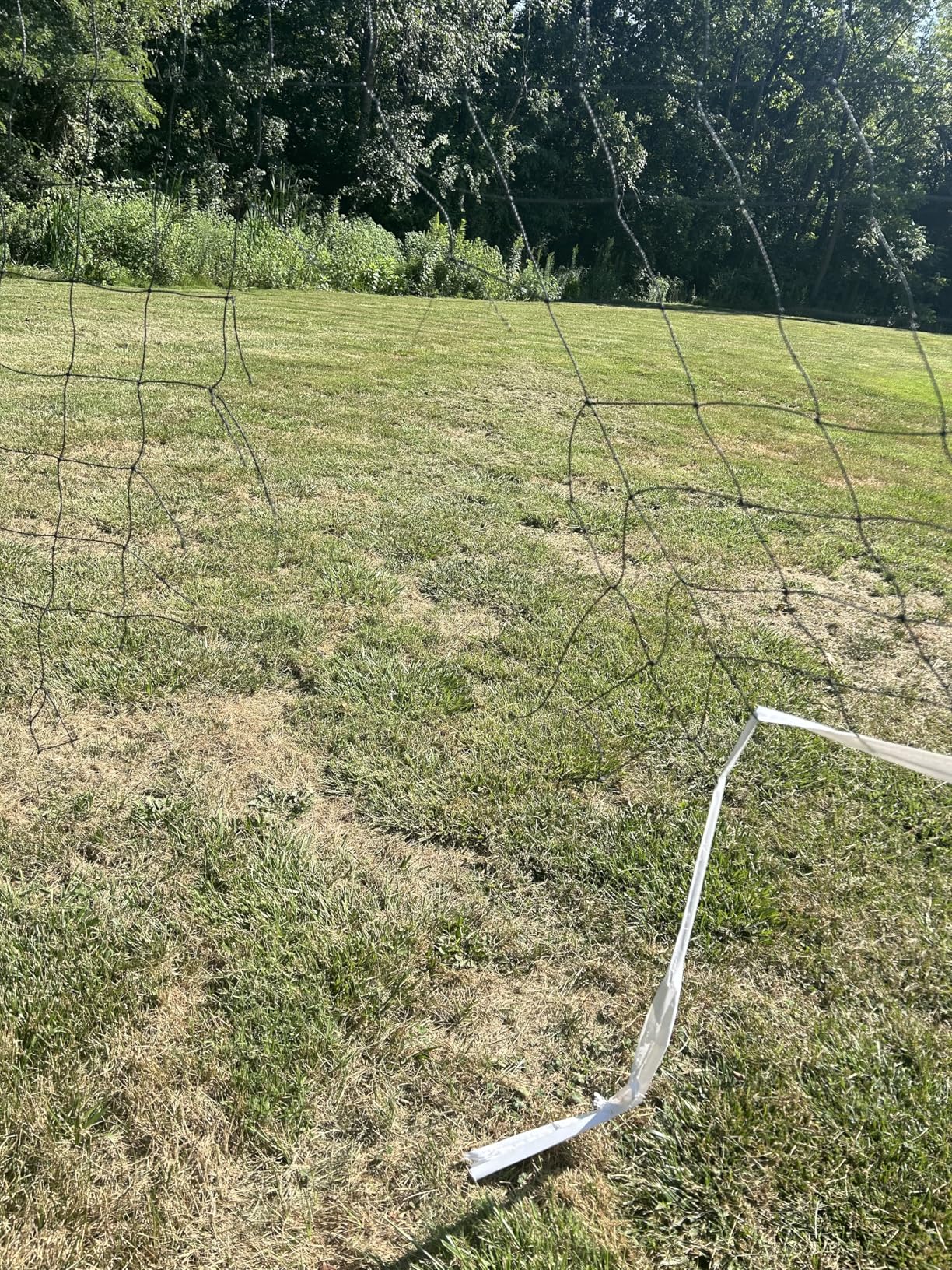 Professional Volleyball Net Outdoor Heavy Duty, All Weather Enhanced with Aircraft Steel Cable, Regulation 32x3FT Replacement Net for Backyard Beach Pool Indoor customer photo 2