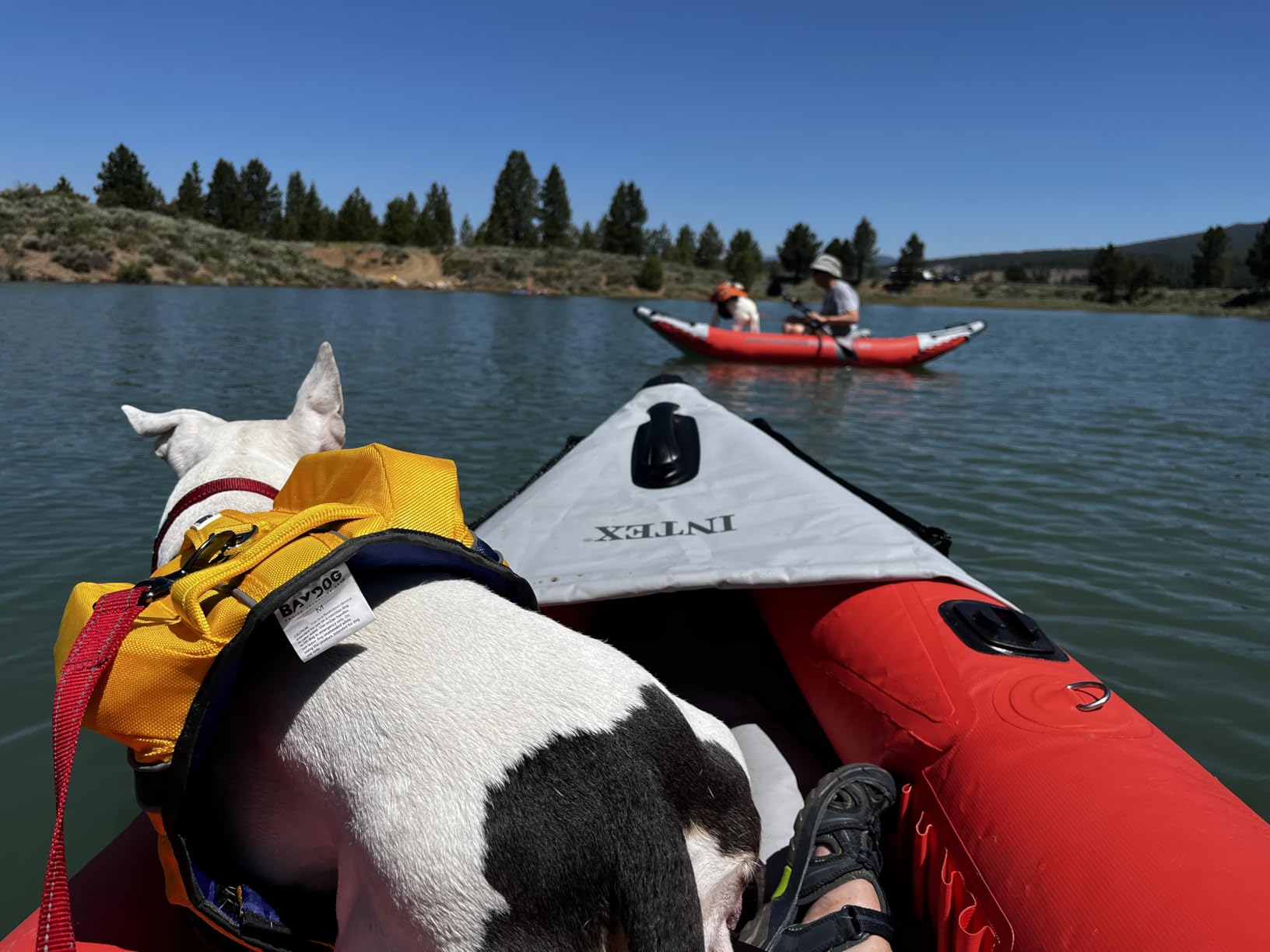 INTEX 68303EP Excursion Pro K1 Inflatable Kayak Set: Includes Deluxe 86in Kayak Paddles and High-Output Pump - SuperTough PVC - Adjustable Bucket Seat - 1-Person - 220lb Weight Capacity customer photo 2