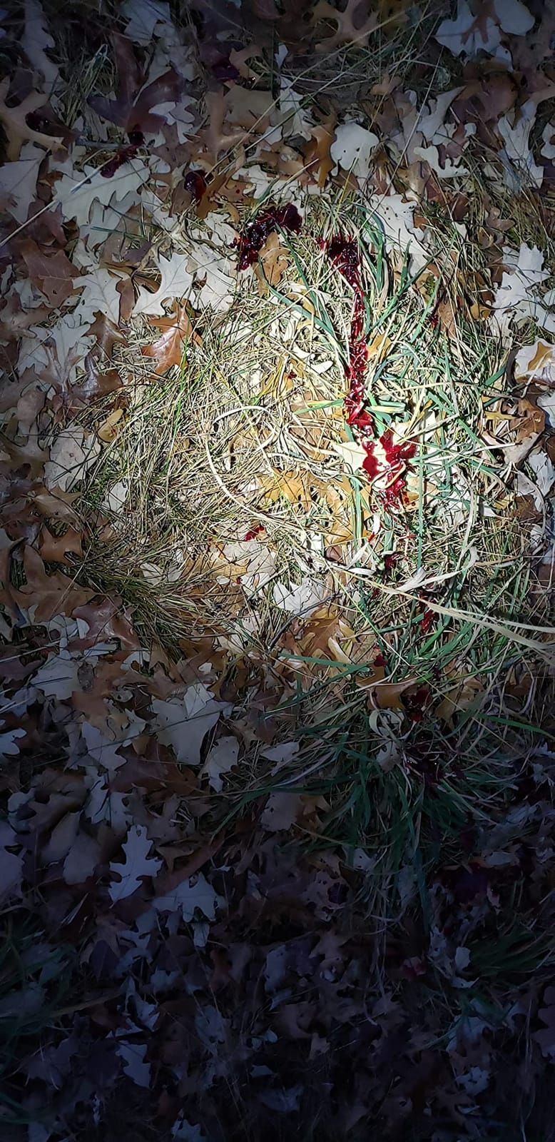 Woodhaven The Intimidator Deer Call customer photo 1