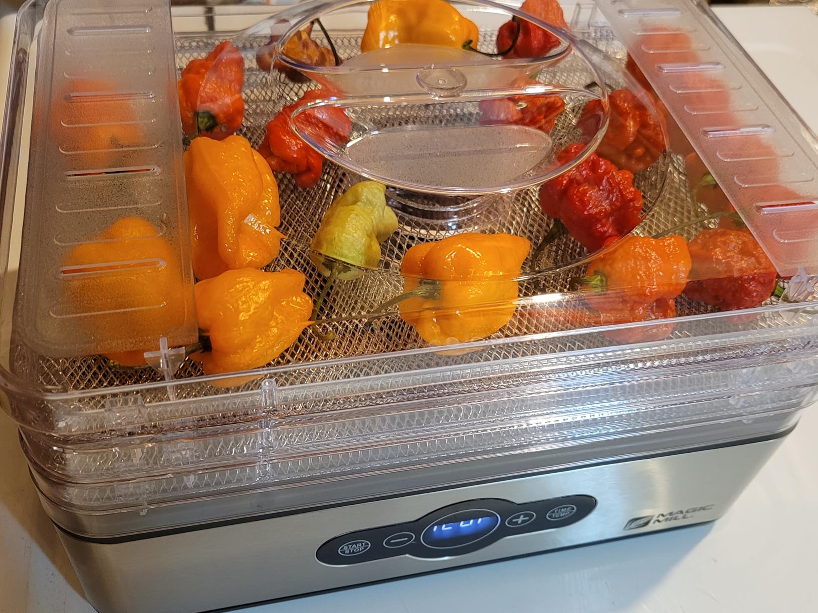 Magic Mill Food Dehydrator Machine | 5 Stackable Stainless Steel Trays, 48H Digital Adjustable Timer & Temperature Control Upto 167° Electric Dryer & Preserver for Jerky, Fruit, Dog Treats & Much More customer photo 1