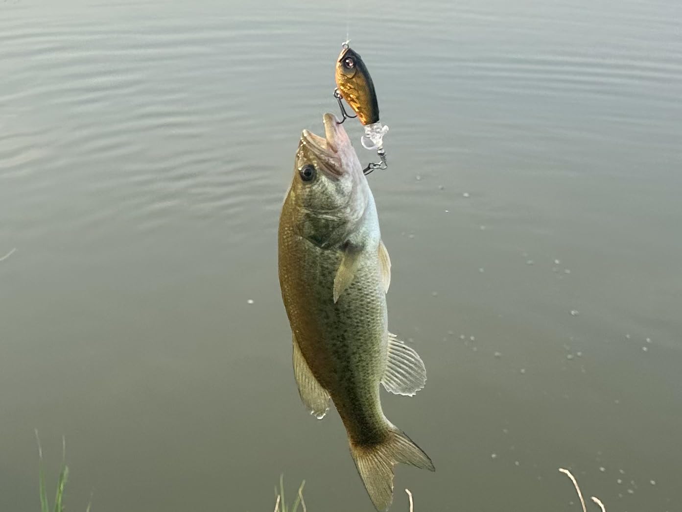 TRUSCEND Popobait Easy Catch Fishing Lures with BKK Hooks, Plopper Topwater Lures for Bass, Trout, Pike, Walleye, Freshwater Saltwater Fishing customer photo 1
