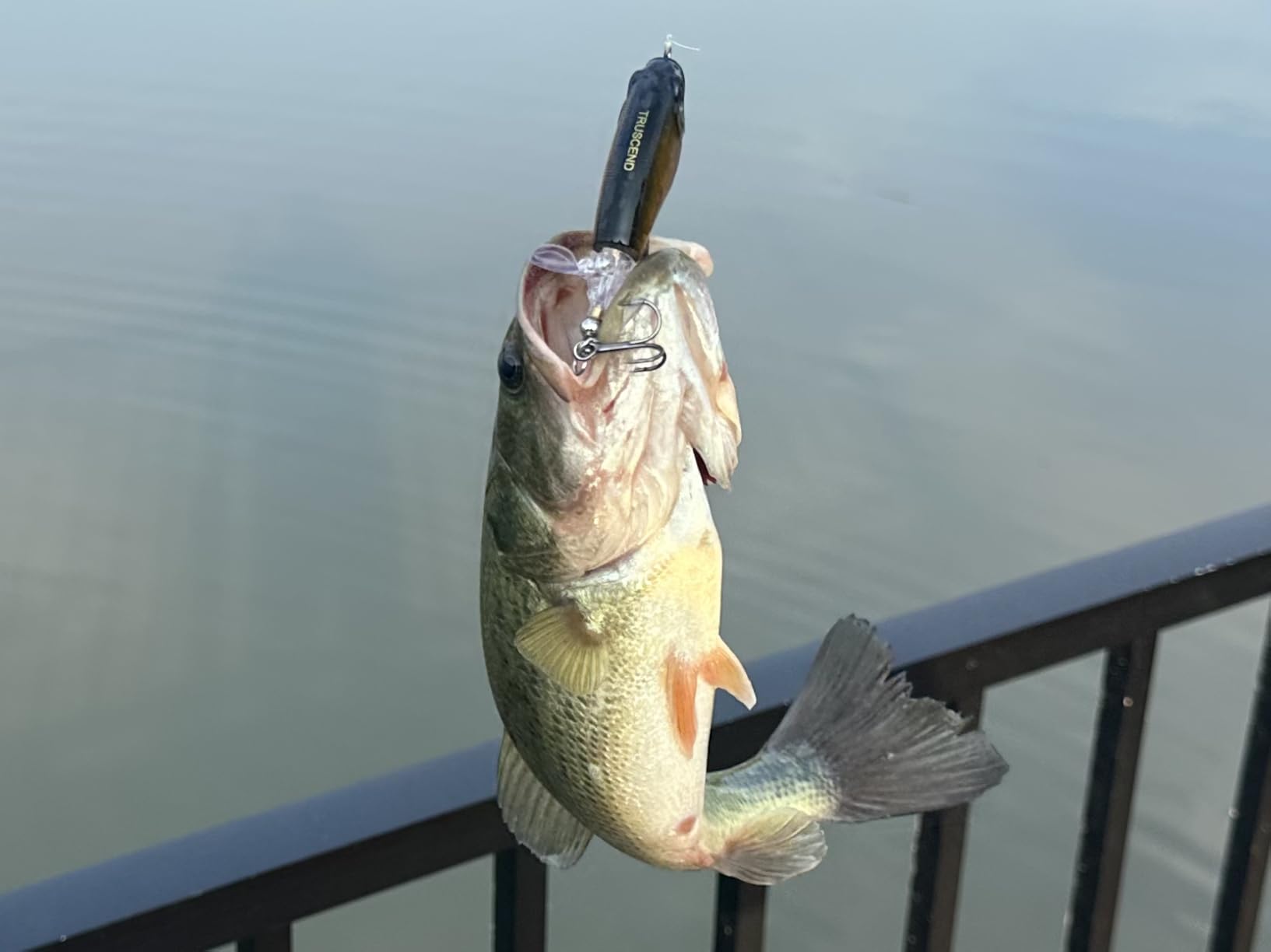 TRUSCEND Popobait Easy Catch Fishing Lures with BKK Hooks, Plopper Topwater Lures for Bass, Trout, Pike, Walleye, Freshwater Saltwater Fishing customer photo 2