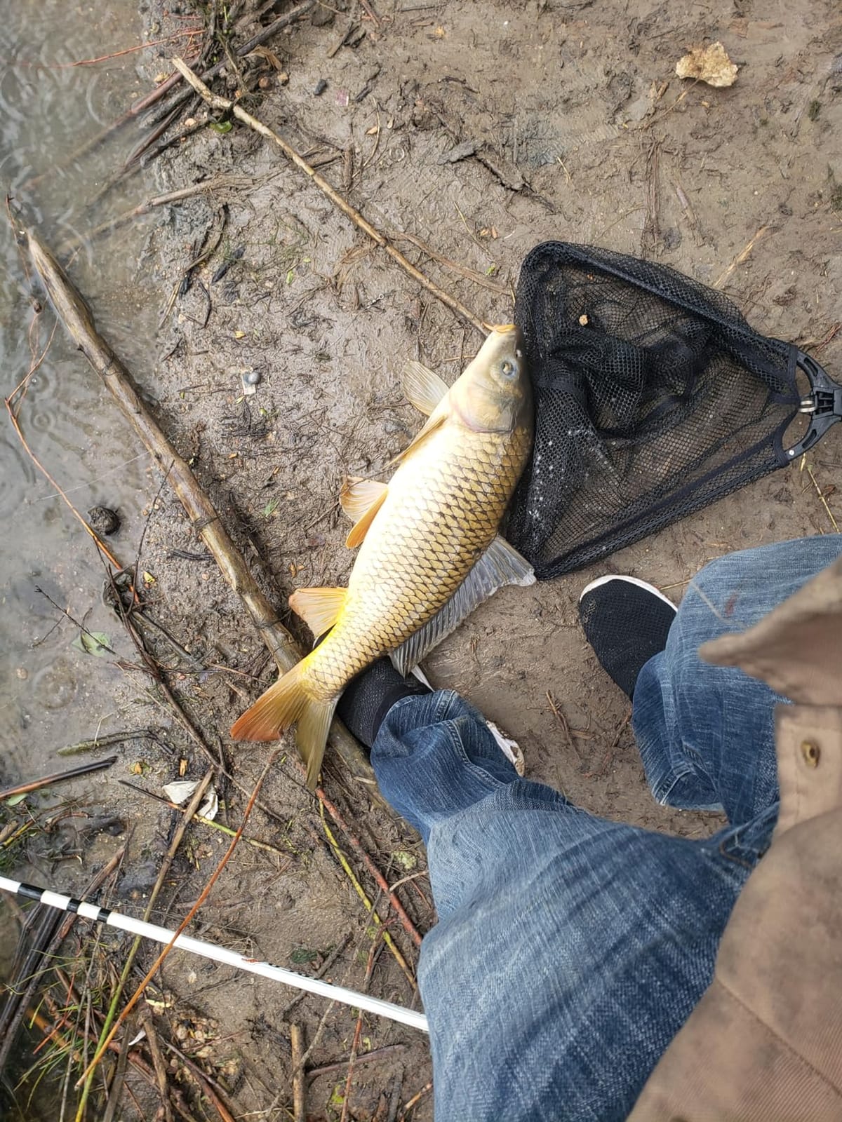Zebco 888 Spincast Fishing Reel, Size 80 Reel customer photo 2