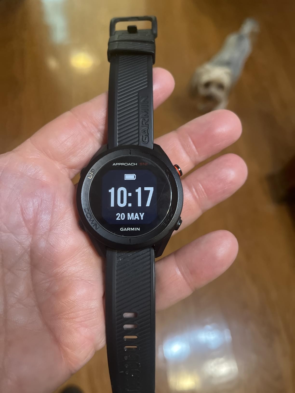 Garmin Approach S12, Easy-to-Use GPS Golf Watch, 42k+ Preloaded Courses, Black, 010-02472-00 customer photo 2