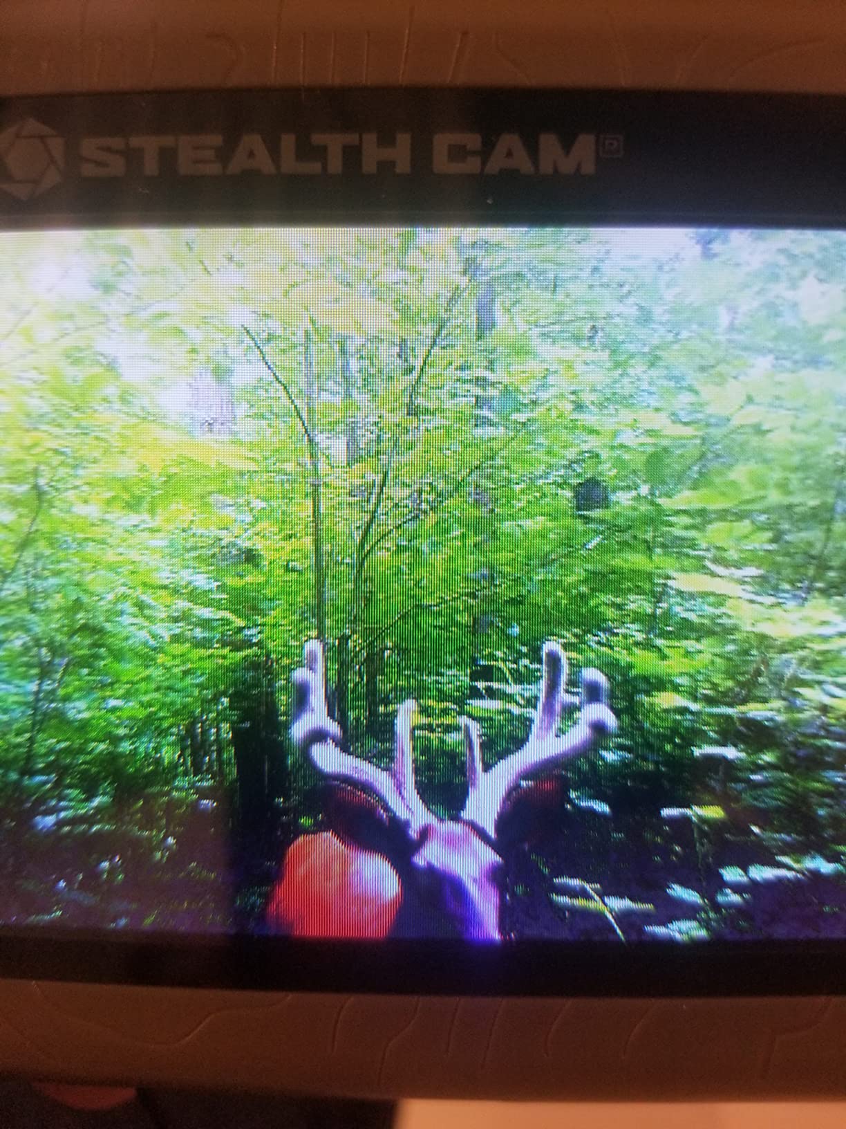 Stealth Cam SD Card Reader/Photo & HD Video 1080P Viewer | Durable Water-Resistant Housing | 4.3