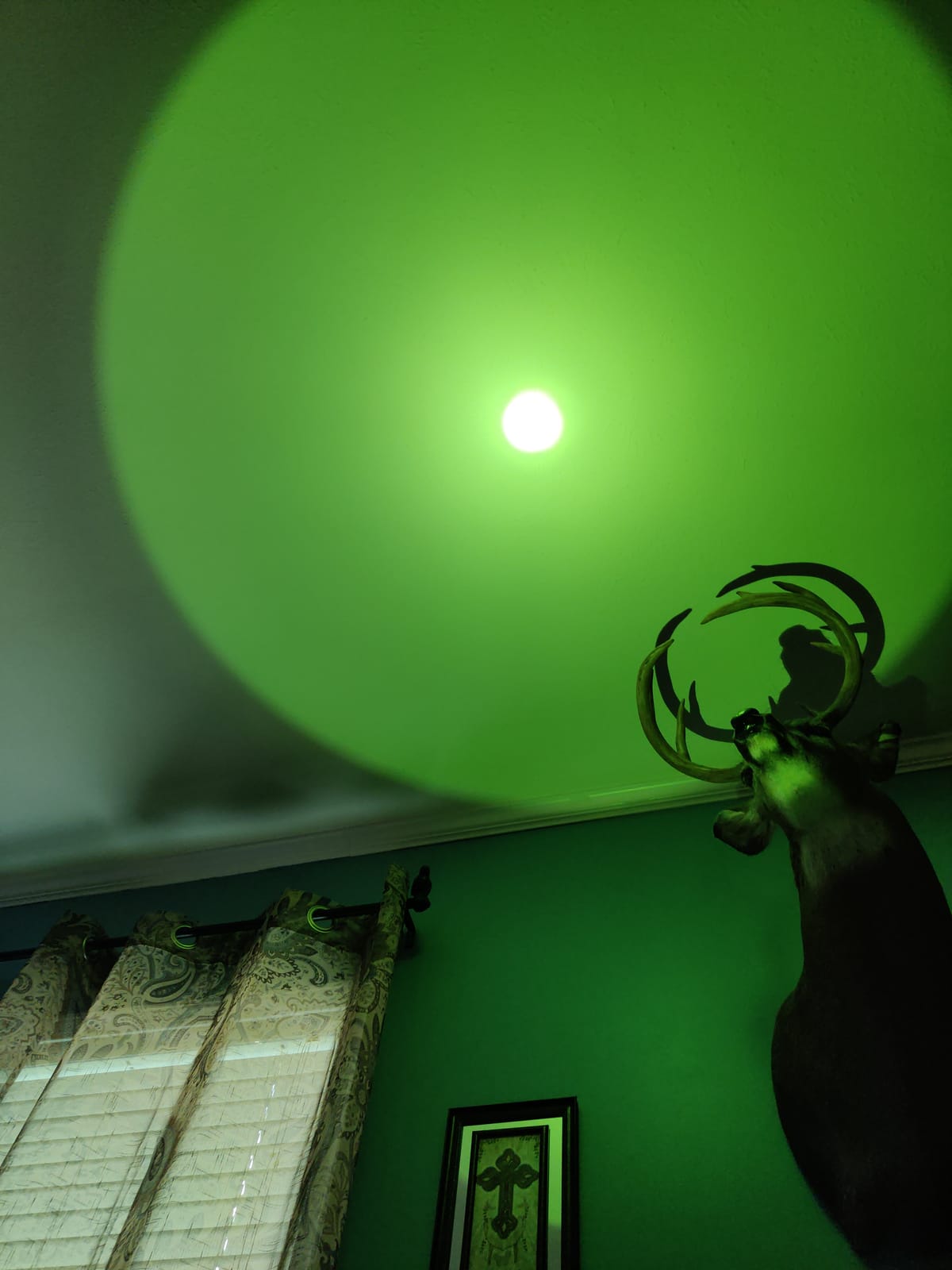 UC20 Green Hunting Light Flashlight kit | 1586 Yards 2000 High Lumens Green LED Light, Picatinny Mount, Pressure Switch, Long Distance Night Hunting Gifts for Men customer photo 1