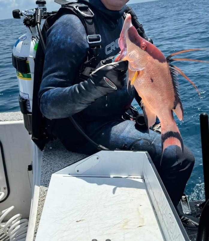 Cressi Spearfishing and Freediving Two-Piece Wetsuit with Loading Chest Pad, Knee Protection, Anatomical Design - Tokugawa: Designed in Italy customer photo 2