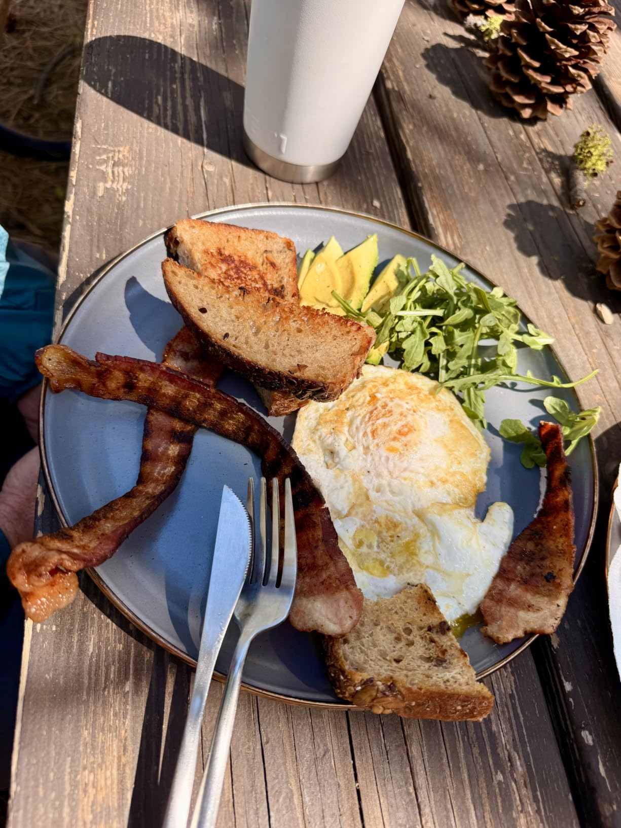 Barebones Enamel Deep Plate - Set of 2 Dinner Plates - Hand-Finished Baked Stainless Steel Trim Plate Set - Camping Kitchen and Dish Set (Eggshell) customer photo 1