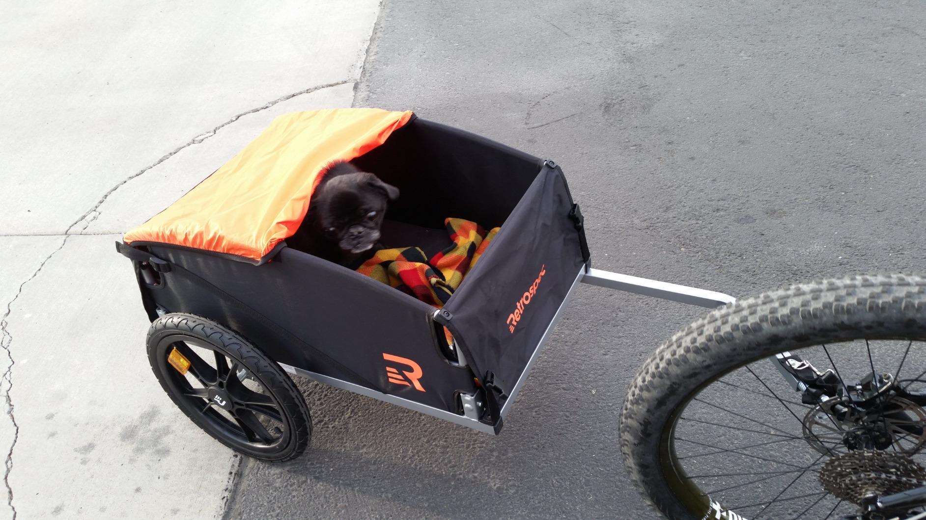 Retrospec Rover Hauler Bike Cargo Trailer - Foldable Frame with Weather-Resistant Fabric & 80lb Capacity - Universal Bike Trailer for 20-29in Wheels - Includes Safety Flag & D-Ring Anchors customer photo 2