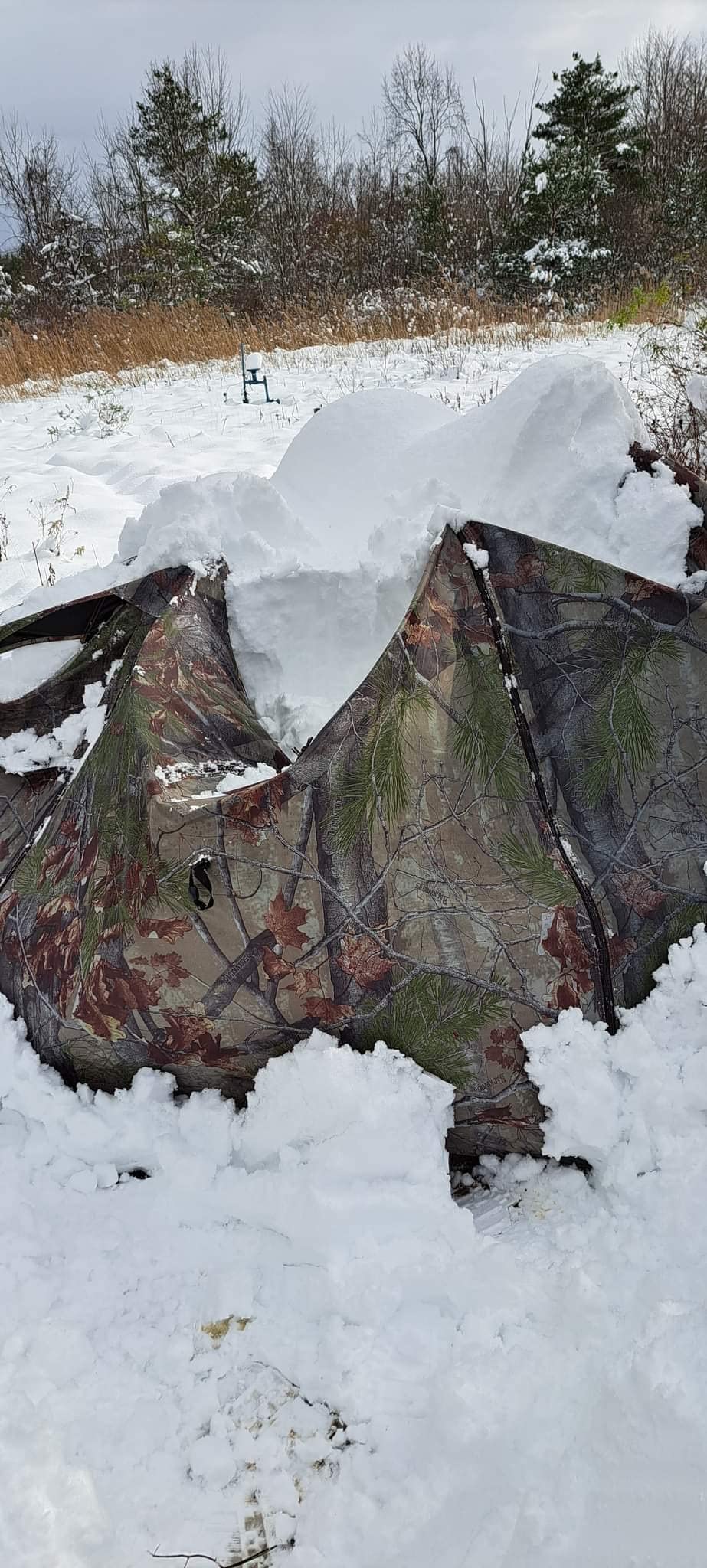 Barronett Blinds Feather Five Portable Hunting Blind, Huge Interior, Lightweight, 4-Person, Bloodtrail Backwoods, 72 x 84 x 84 customer photo 1