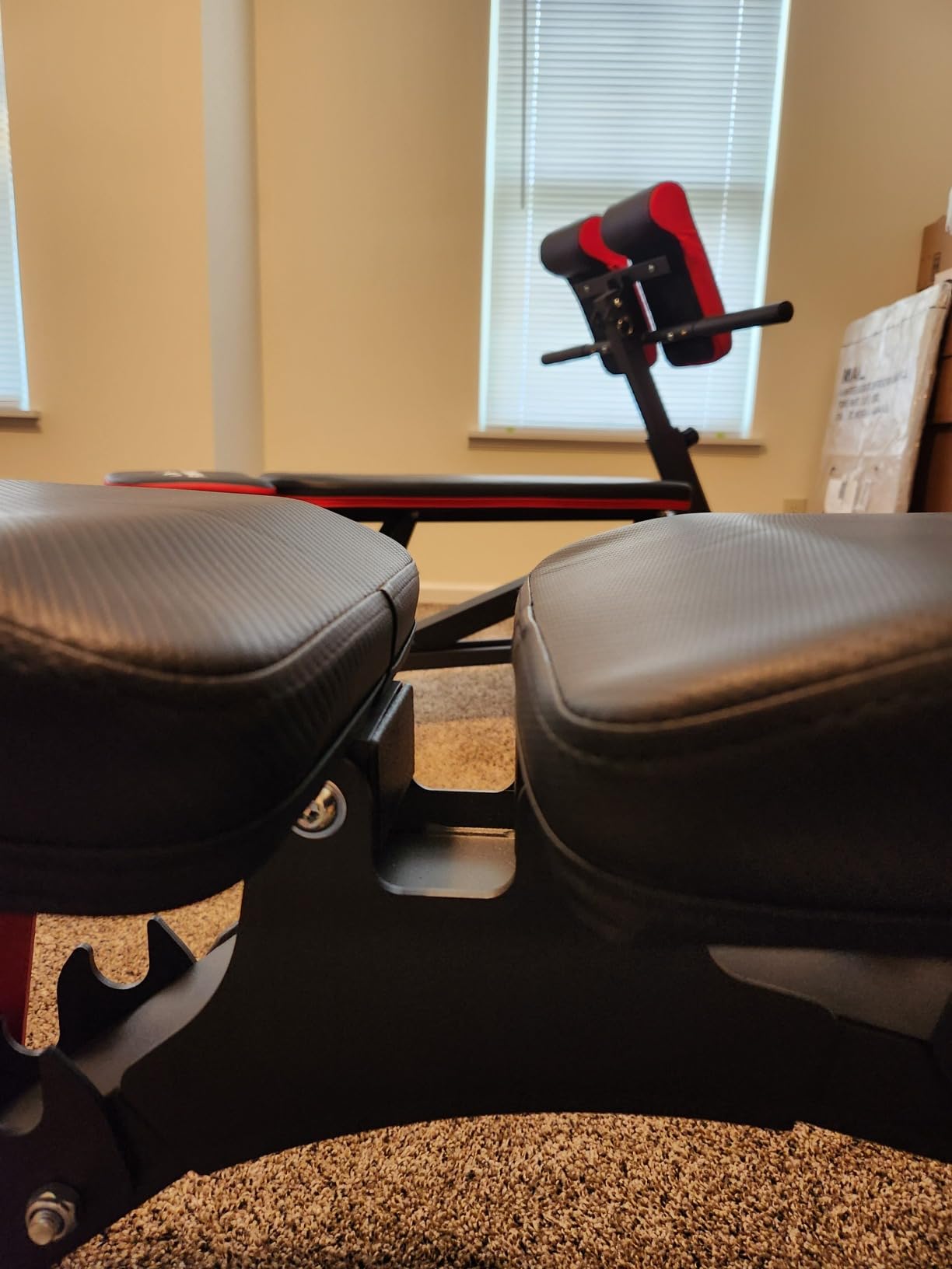 FLYBIRD WB7 Weight Bench, 1300LBS Commercial Adjustable Weight Bench, Workout Bench for Home Gym, Flat Incline Bench Press Heavy Duty Bench with 34'' Extra-Long Backrest and Easy-Roll Wheels customer photo 1