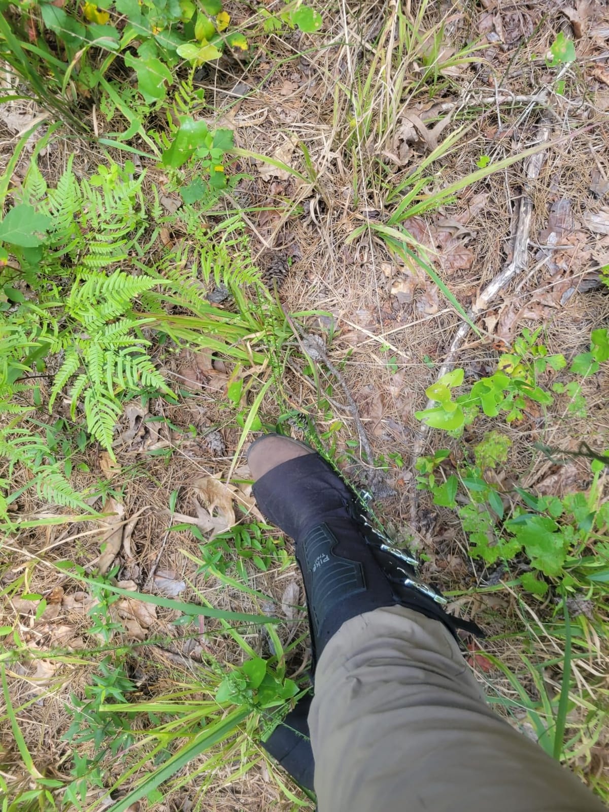 Pike Trail Snake Leg Gaiters: Protection for Hikers and Hunters - Waterproof, Bite Protective, Durable, Anti-Snake, Leg Gear customer photo 2
