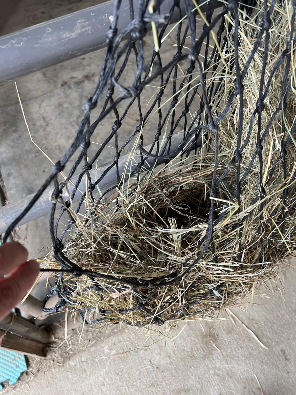 Harrison Howard Slow Feed Hay Net Horse-Black customer photo 2