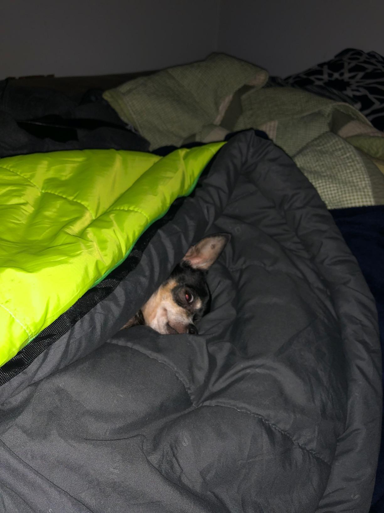 Teton LEEF Lightweight Mummy Sleeping Bag for Camping, Hiking, Backpacking; Cold Weather Option, Compression Sack Included customer photo 2