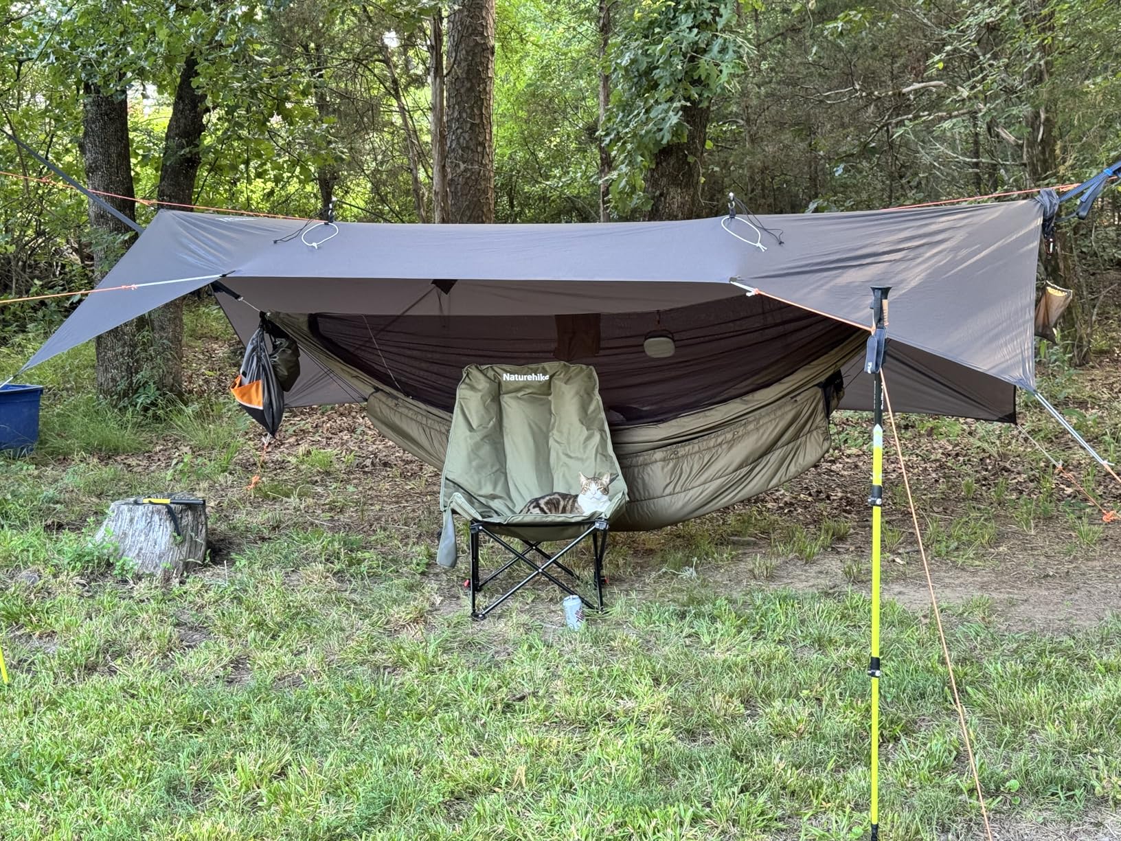 Onewind 11ft Ultralight Camping Hammock with Mosquito Net and Ridgeline | 40D Hexagon Ripstop Nylon, Integrated No-see-ums Bugnet, 64'' Single Wide Panel customer photo 2
