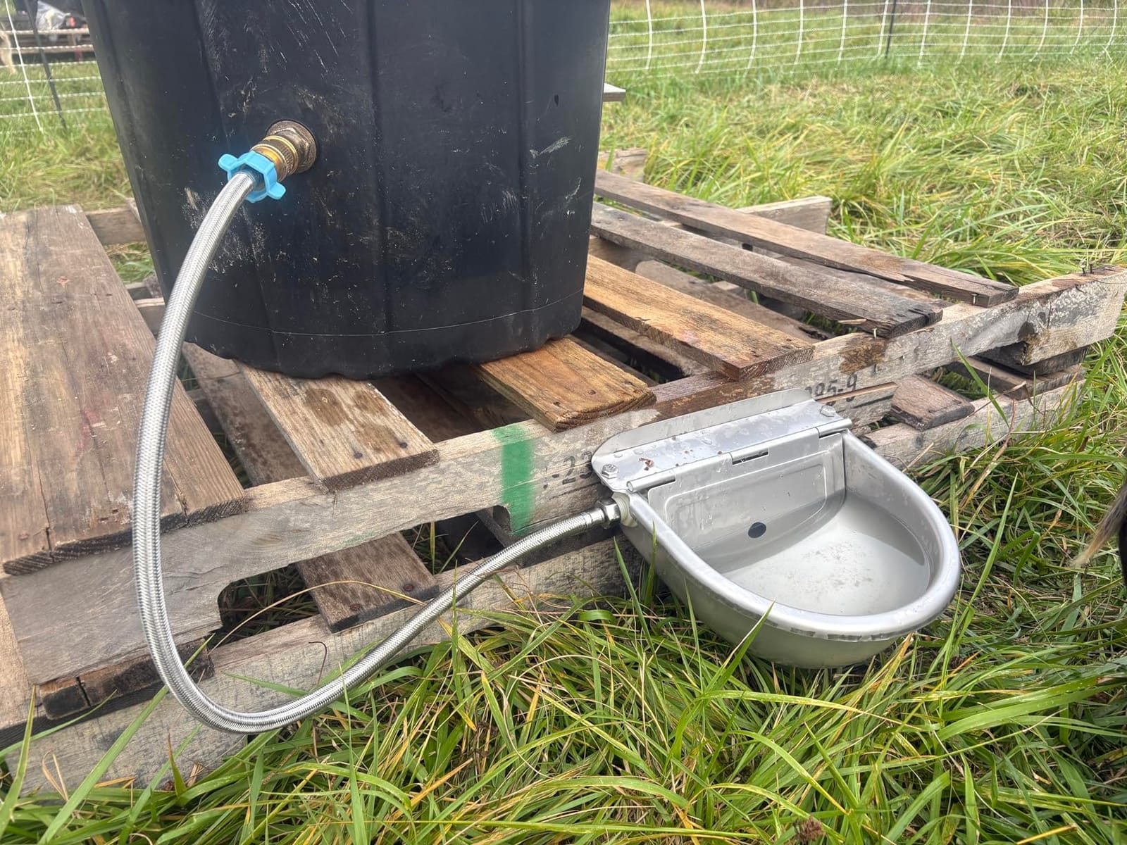 Ademon Automatic Animal Drinking Water Bowl with Float Valve 3L Stainless Steel customer photo 2