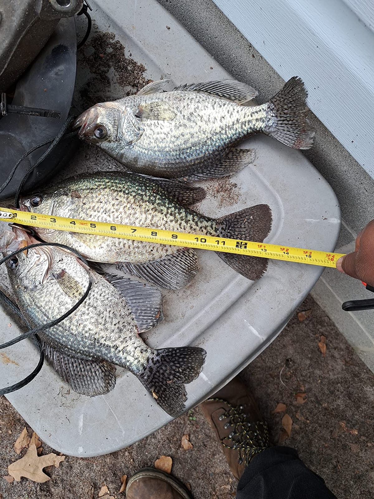 Dovesun Jig Heads for Fishing, Painted Jigheads with 3D Eye Ball Glowing Walleye | Bass | Crappie jigs 1/2oz 3/8oz 1/4oz 1/5oz 1/8oz 1/10oz 1/16oz 1/32oz Fishing Jig Hooks Assortment 15-40pcs customer photo 2