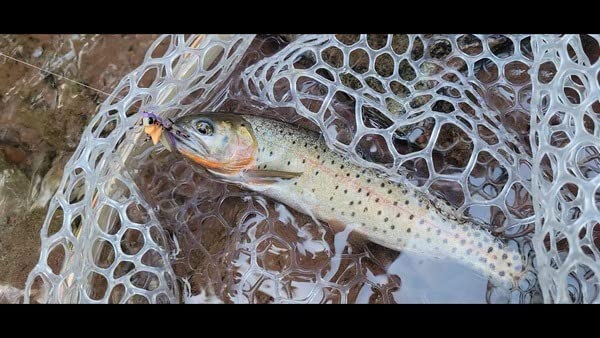 SF Fly Fishing Landing Net Soft Rubber Mesh Trout Net Catch and Release Net customer photo 1