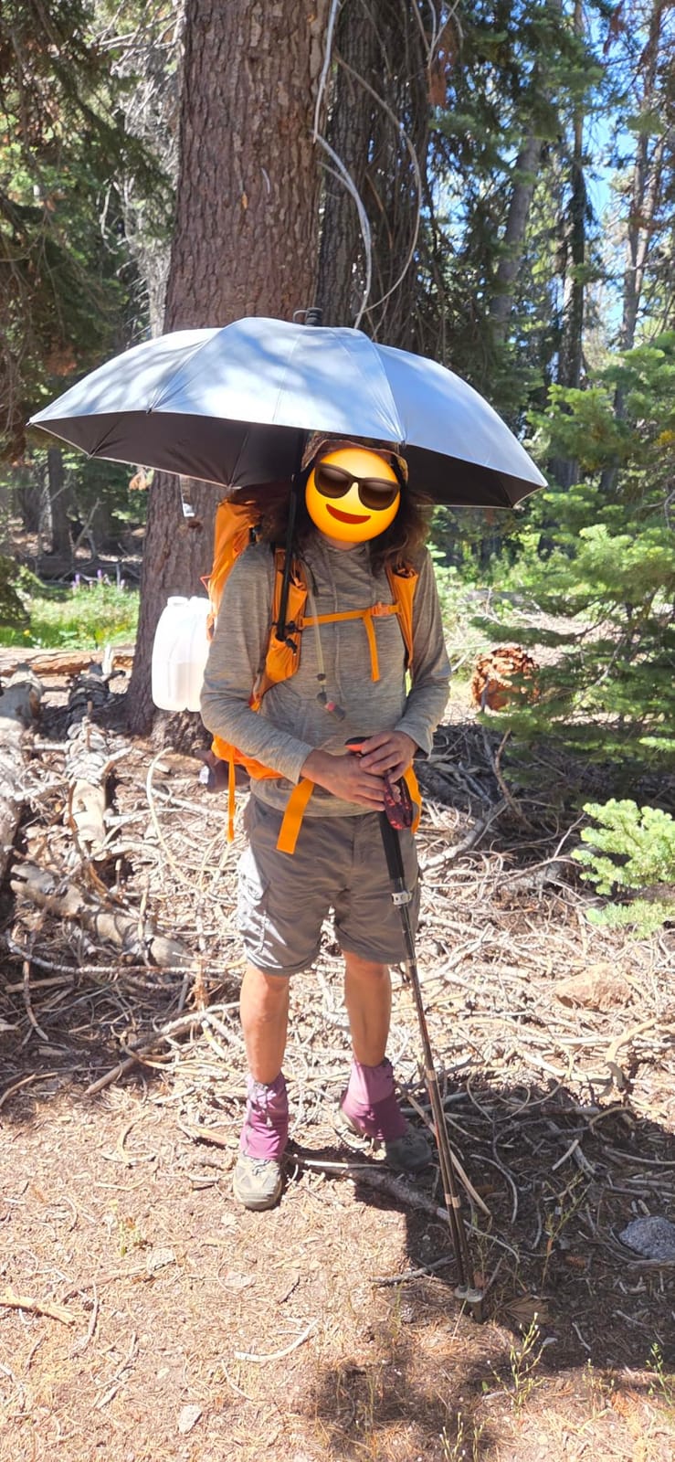 46 Inch Large Hiking Umbrella Ultralight UV Silver Reflective Full-size Trekking Backpacking Umbrella customer photo 2