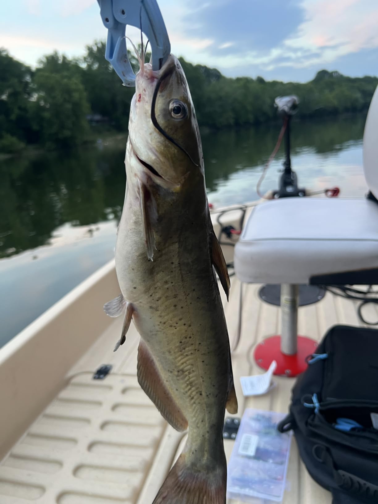 TRUSCEND Swimmax Easy Catch Fishing Lures with BKK Hooks, Wiggling, Vibrating, Rattling and Gurgling for More Bites, Heavy-Duty Dyneema Fiber Jointed Swimbaits for Bass, Trout, Crappie, Walleye, Pike customer photo 2