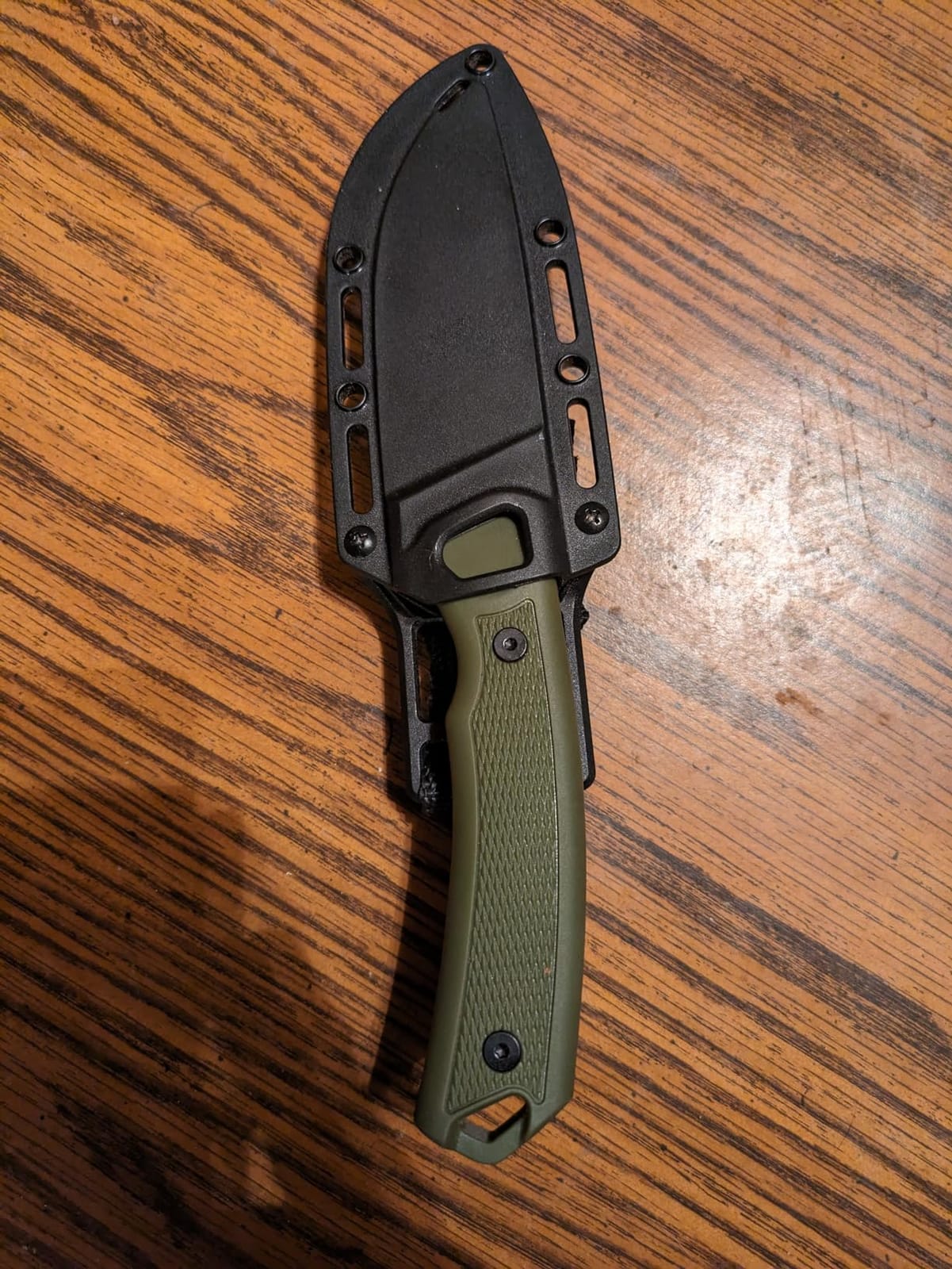 Kershaw Deschutes Skinner Fixed Blade Knife, Olive | 3.9 Inch D2 Steel Fixed Drop Point Blade, Full Tang Design, EDC, Molded Sheath, Everyday Carry for Men and Women customer photo 2