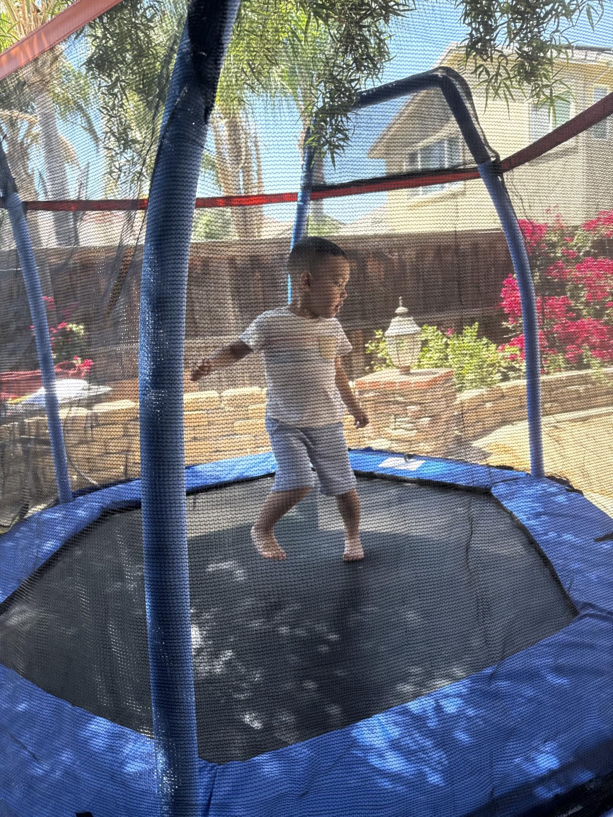Giantex 7 Ft Trampoline for Kids, Heavy Duty Steel Frame Small Mini Toddler Trampoline, Great Gifts for Boys Girls, Outdoor Indoor Kids Trampoline with Net, for Age 3-8 customer photo 2