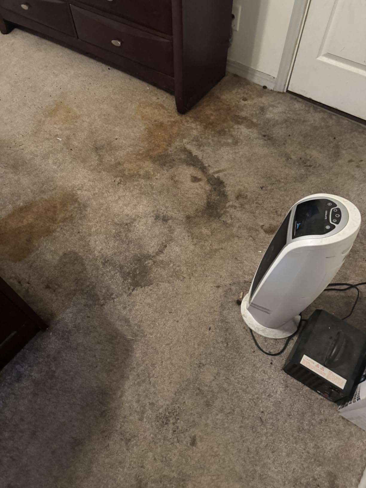 BISSELL ProHeat 2X Revolution Pet Pro Plus Carpet Cleaner, 3588F | Dual Dirt Lifter Powerbrush; hose & tool attachment; pet upholstery tool; upright deep cleaner customer photo 1