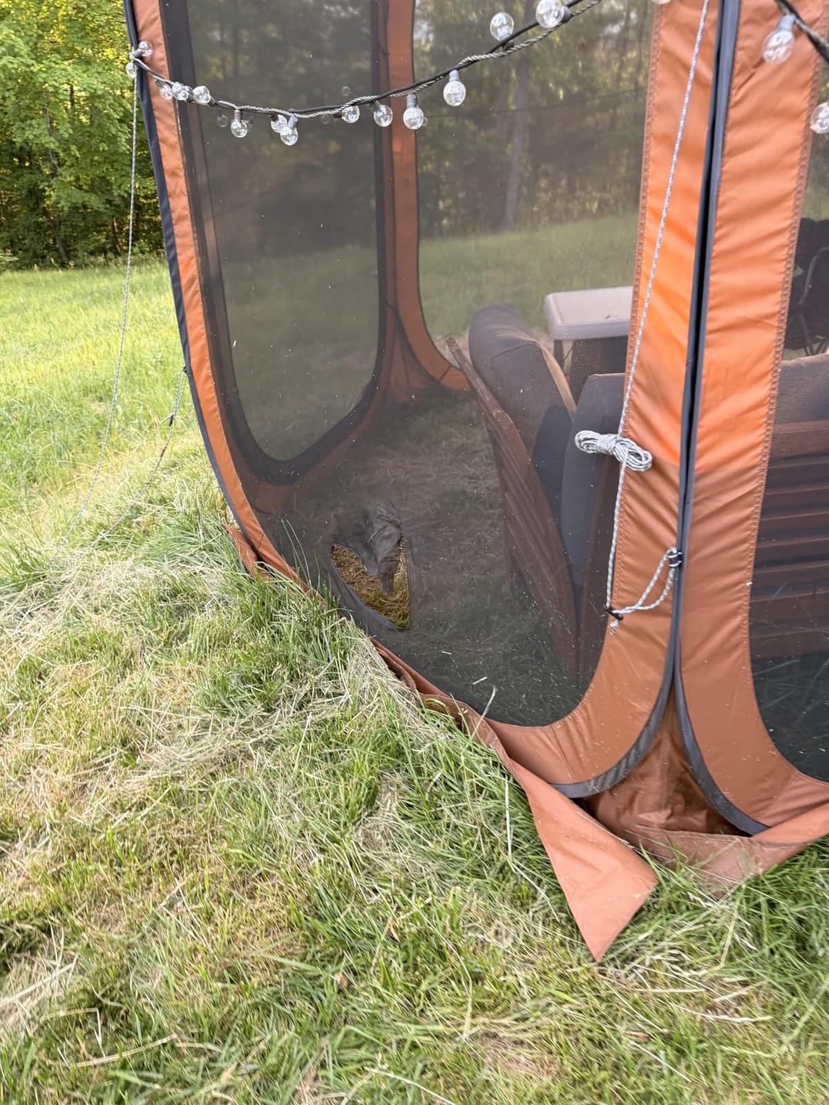 East Oak Screen House Tent Pop-Up, Portable Screen Room Canopy Instant Screen Tent 12 x 12 FT with Carry Bag for Patio, Backyard, Deck & Outdoor Activities, Beige customer photo 2