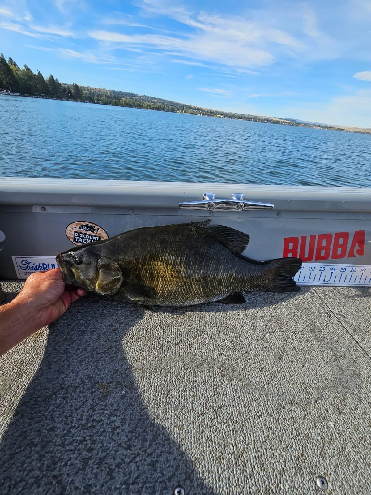 BUBBA Smart Fish Scale - Tournament Fishing Tool - Built in Fish Clip and Hook - 2 Modes, Digital Screen, 60lb Limit customer photo 2
