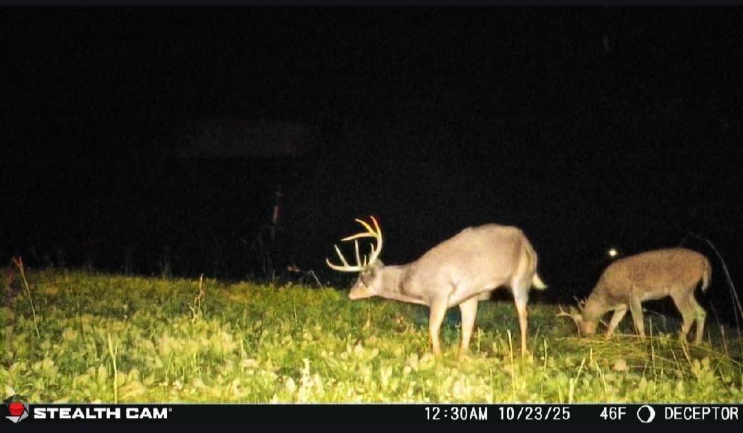 Stealth Cam Deceptor No-Glo Cellular Trail Camera - 40MP, 1440P HD Video, 80ft IR Detection, Available on AT&T and Verizon customer photo 1